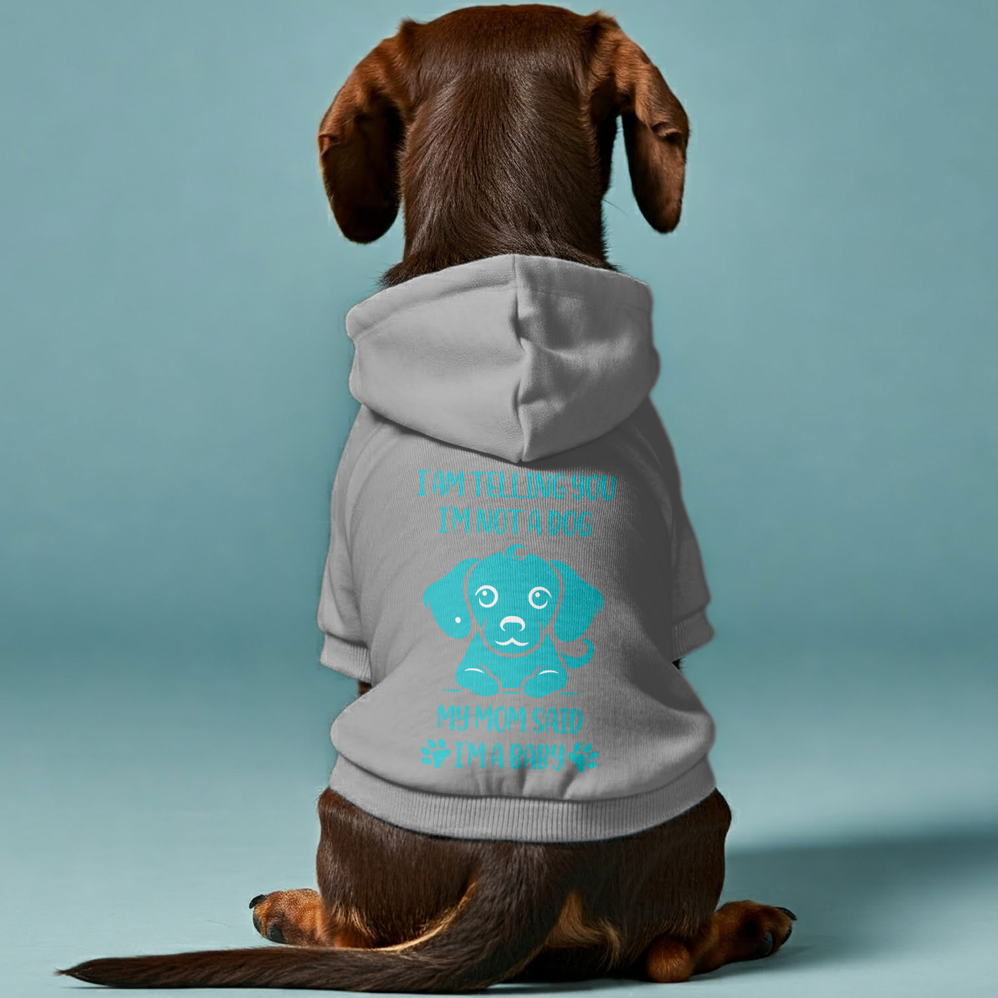 The Baby - Personalized Dachshund Hoodies with Funny Quotes – Stylish, Cozy, and Premium 100% Cotton