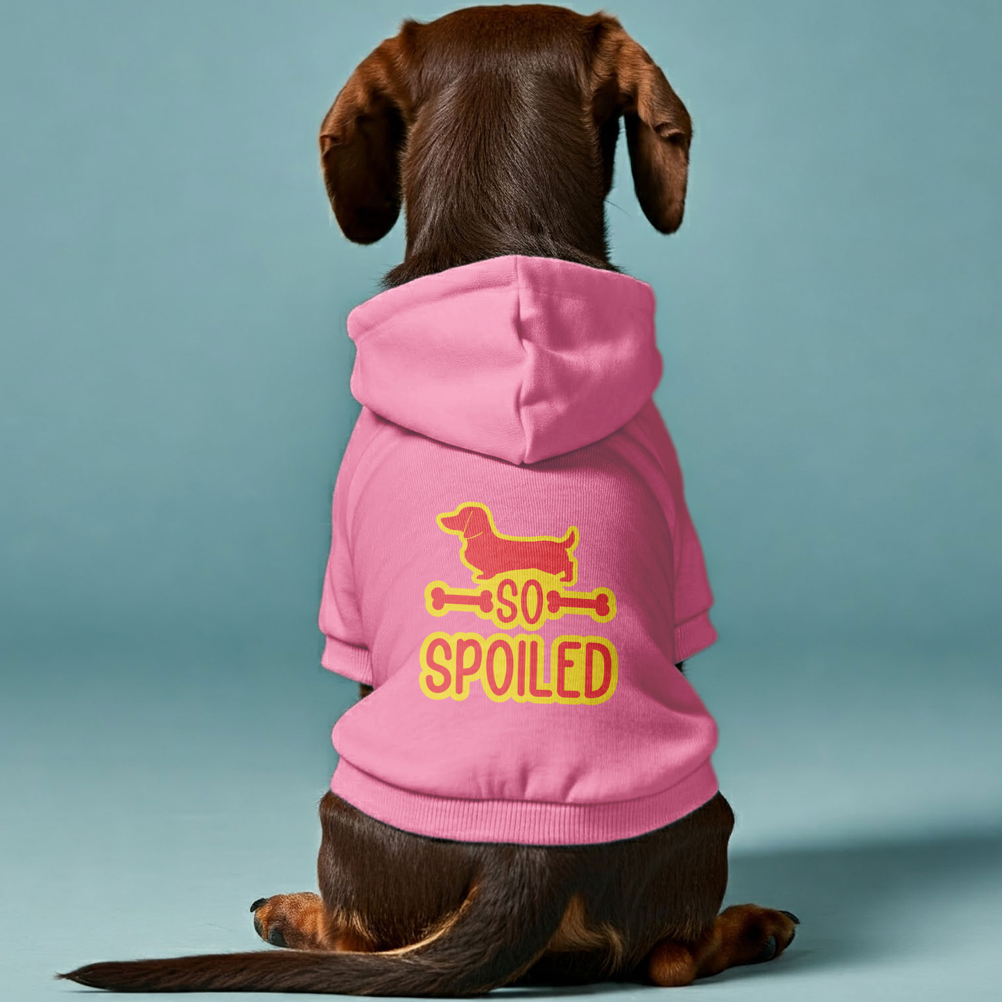 SO SPOILED - Personalized Dachshund Hoodies with Funny Quotes – Stylish, Cozy, and Premium 100% Cotton