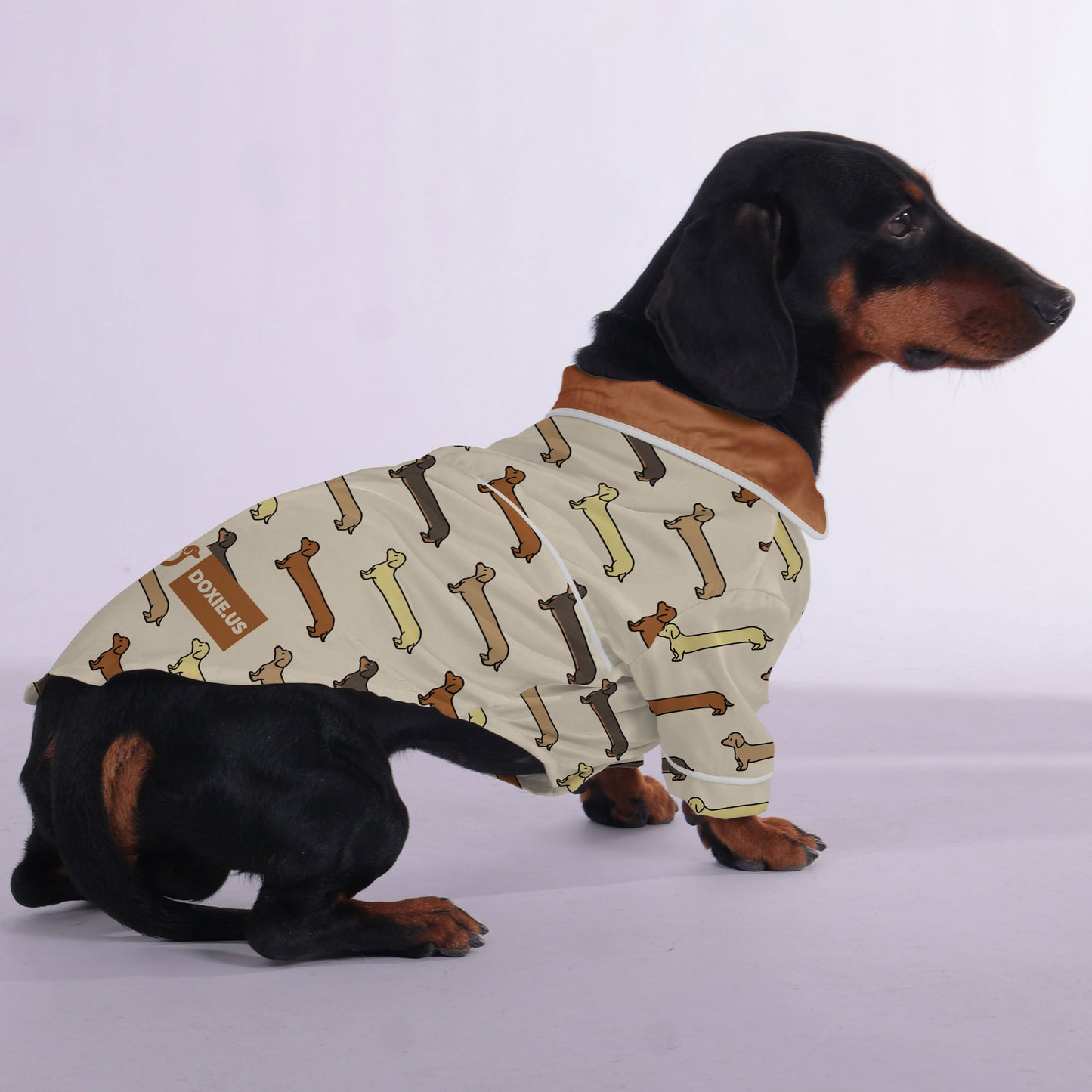 Carmen -  Pajamas for Dachshund