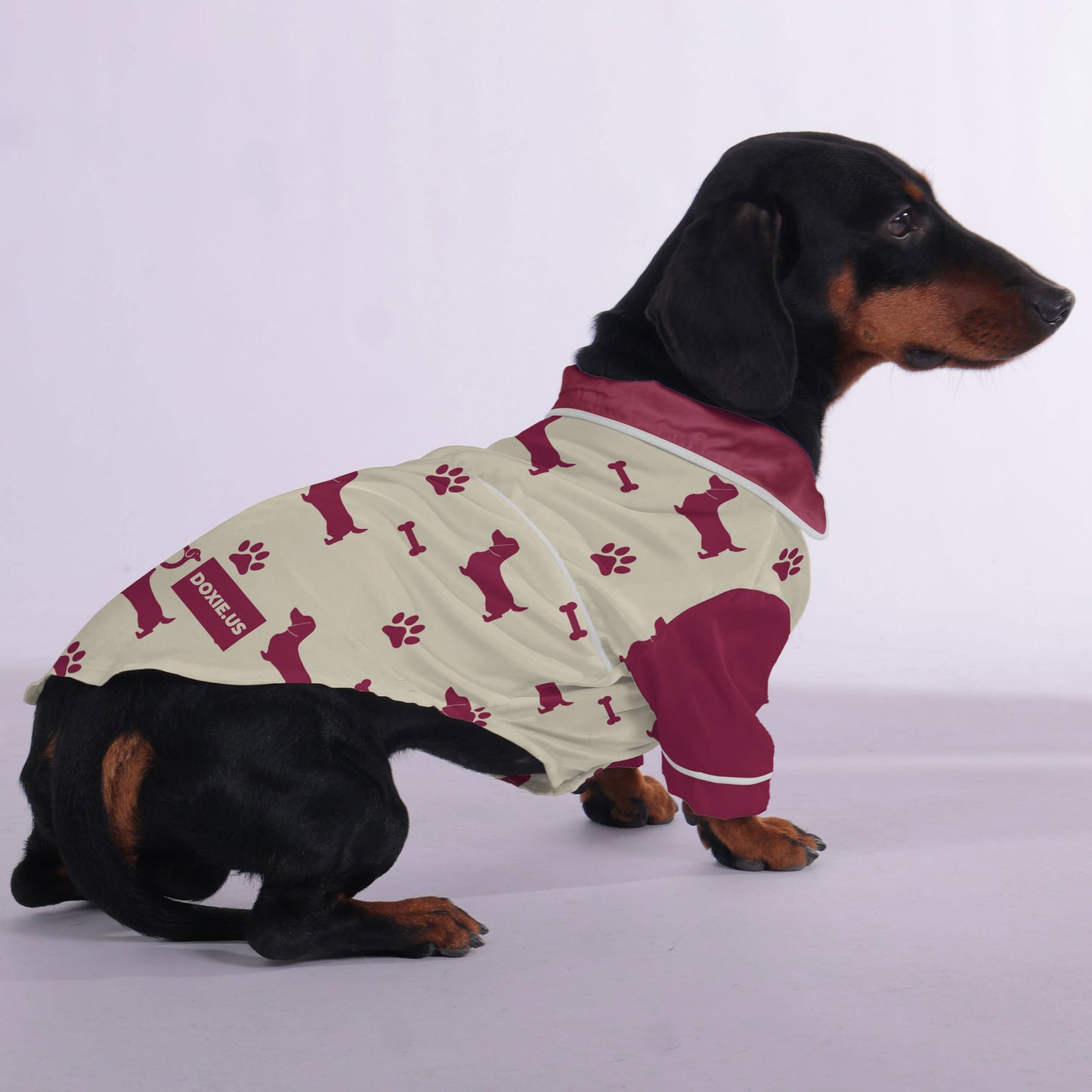 Winston -  Pajamas for Dachshund