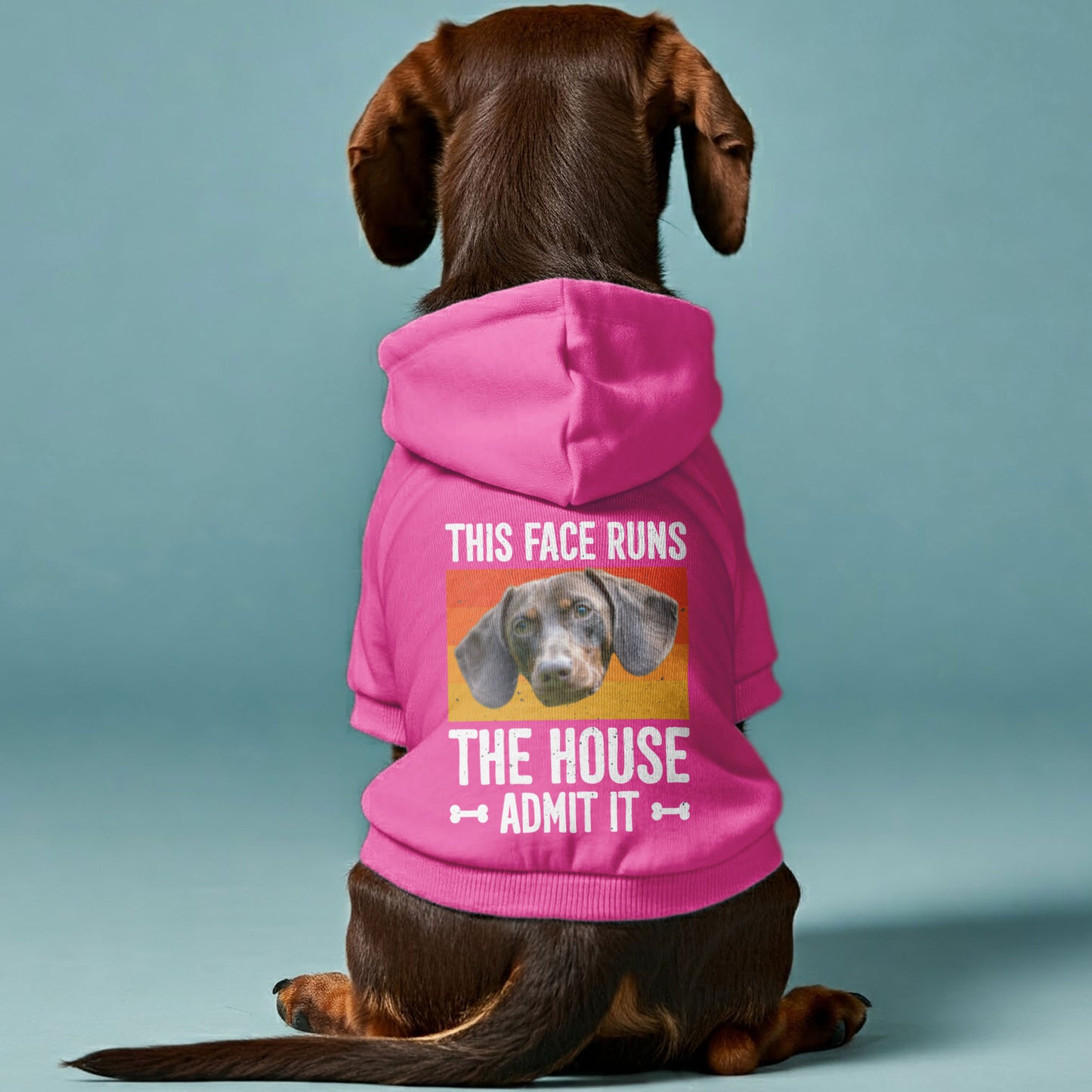 This Face – Personalized Dachshund Hoodies with Your Doxie’s  Photo – Stylish, Cozy & Made from Premium 100% Cotton
