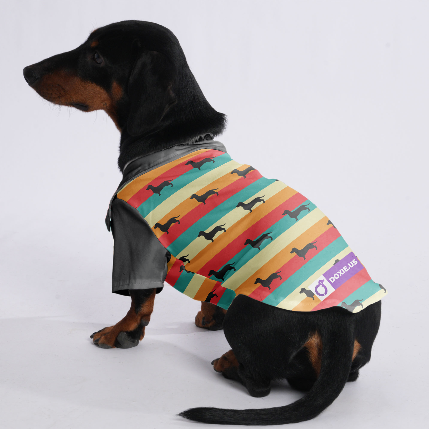 Simone- Hawaiian Shirt for Doxies