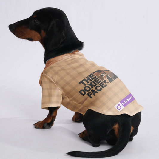 The doxie face - Hawaiian Shirt for Doxies