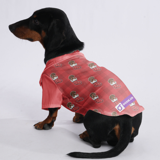 Daisy - Hawaiian Shirt for Doxies