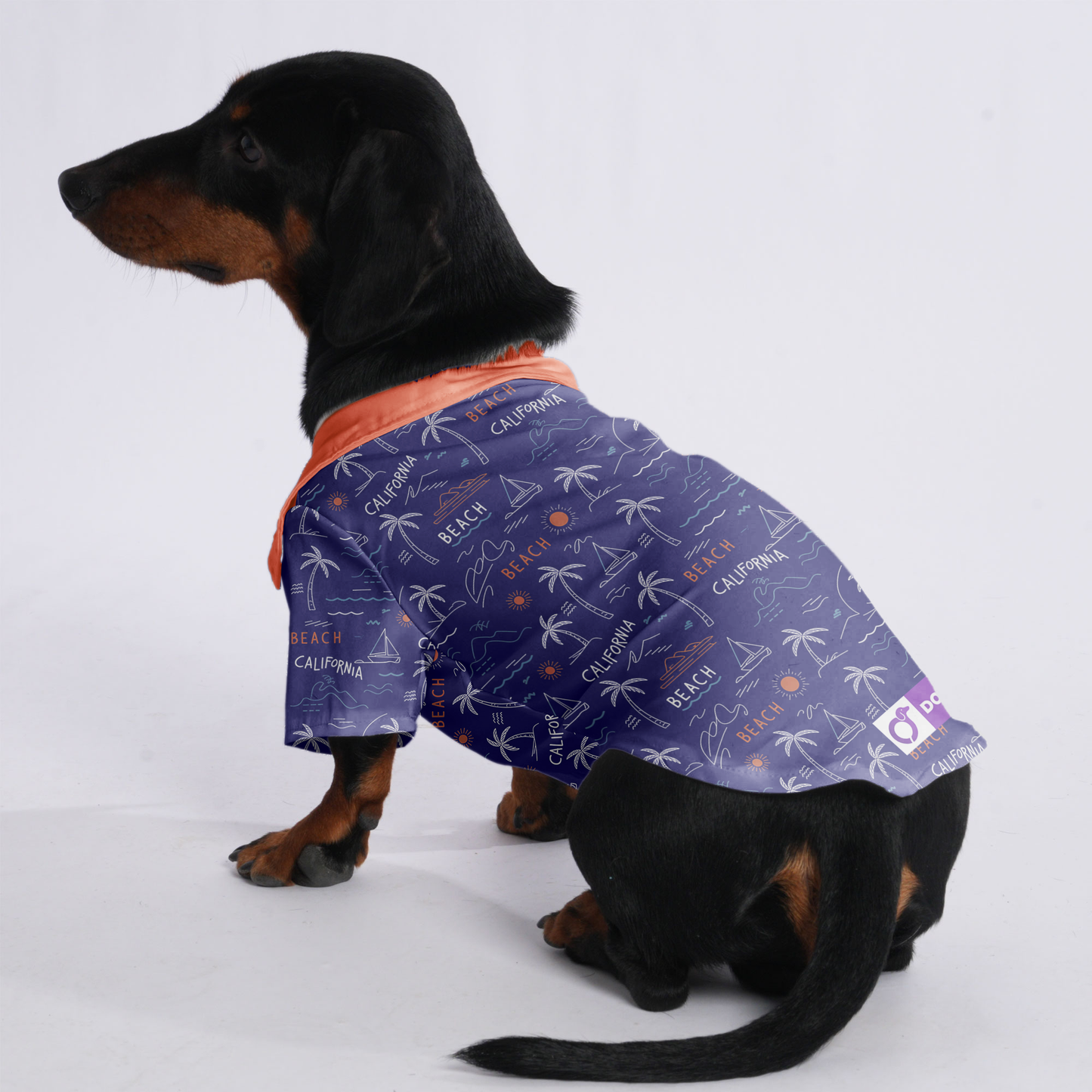 Stella - Hawaiian Shirt for Doxies