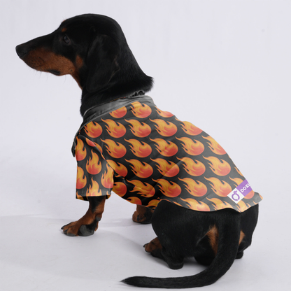 Nala - Hawaiian Shirt for Doxies
