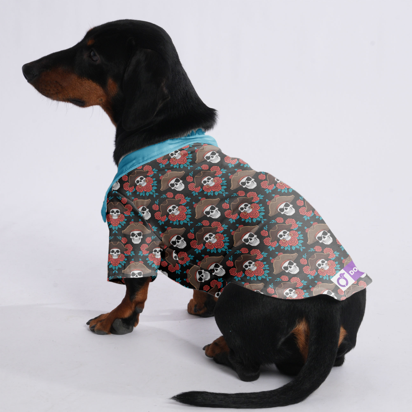 The Pirate - Hawaiian Shirt for Doxies