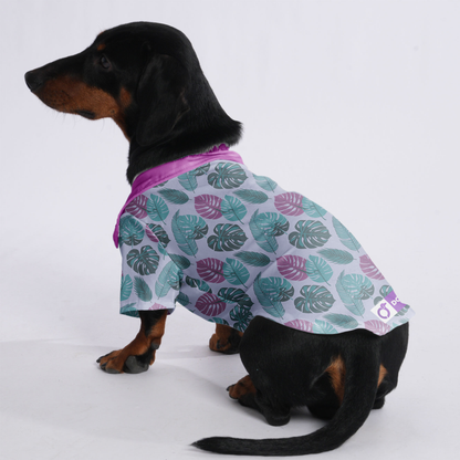 Duke - Hawaiian Shirt for Doxies