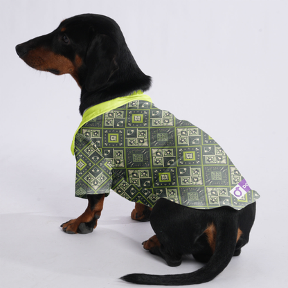 Jack - Hawaiian Shirt for Doxies