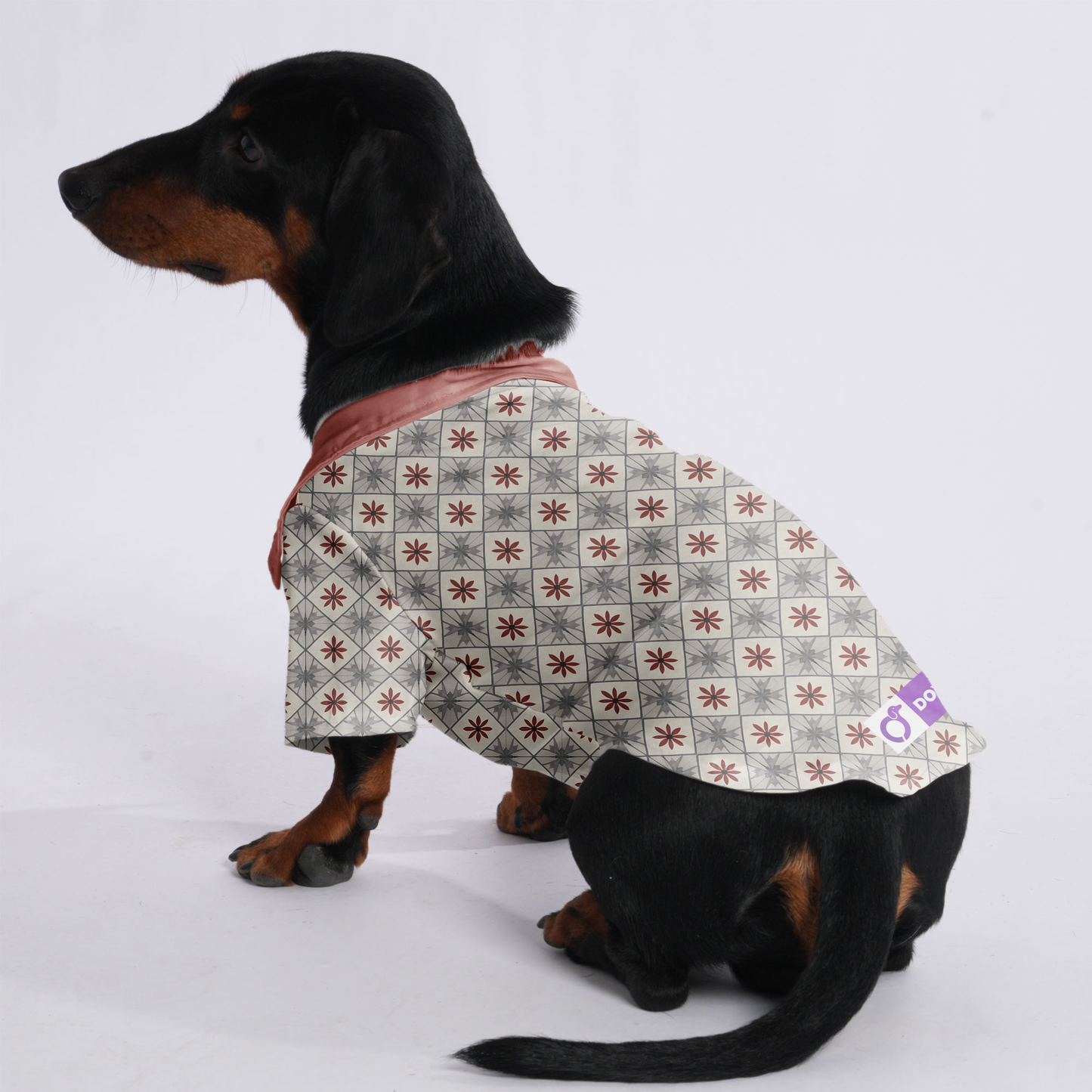 Bruno - Hawaiian Shirt for Doxies