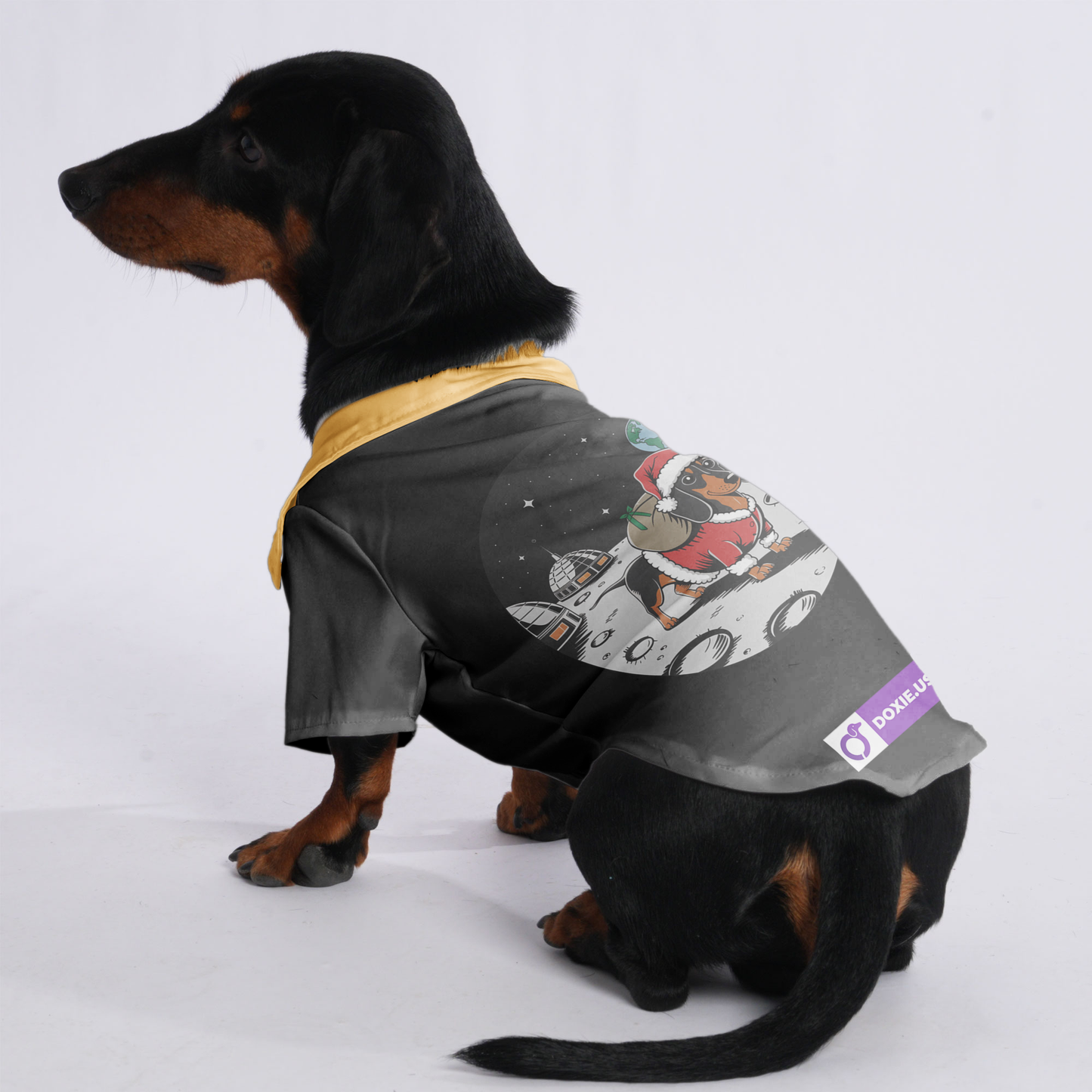 Coco - Hawaiian Shirt for Doxies