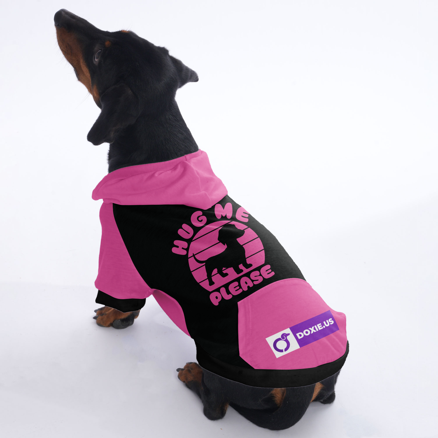 Hug me please - Hoodies for Dachshunds