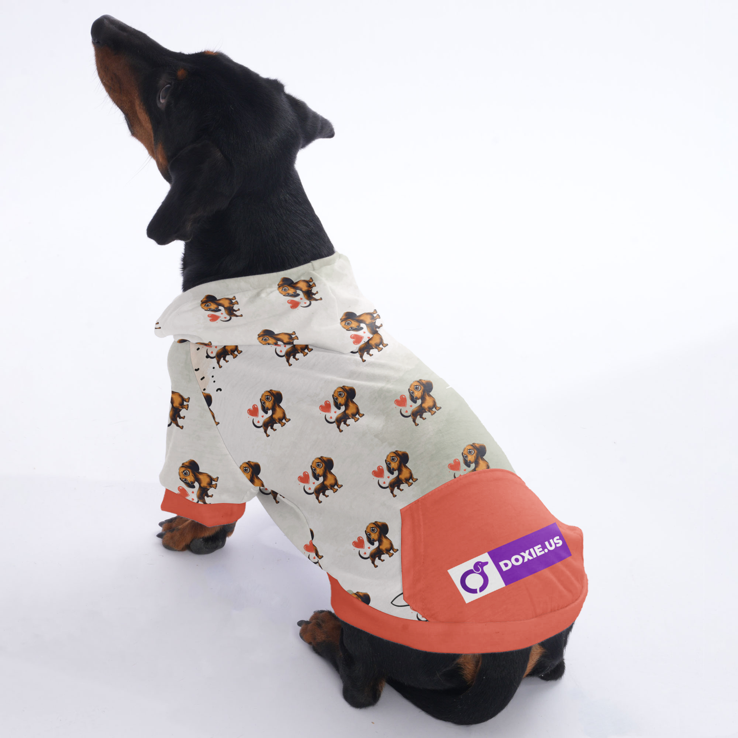 Ludwig - Hoodies for Dachshunds