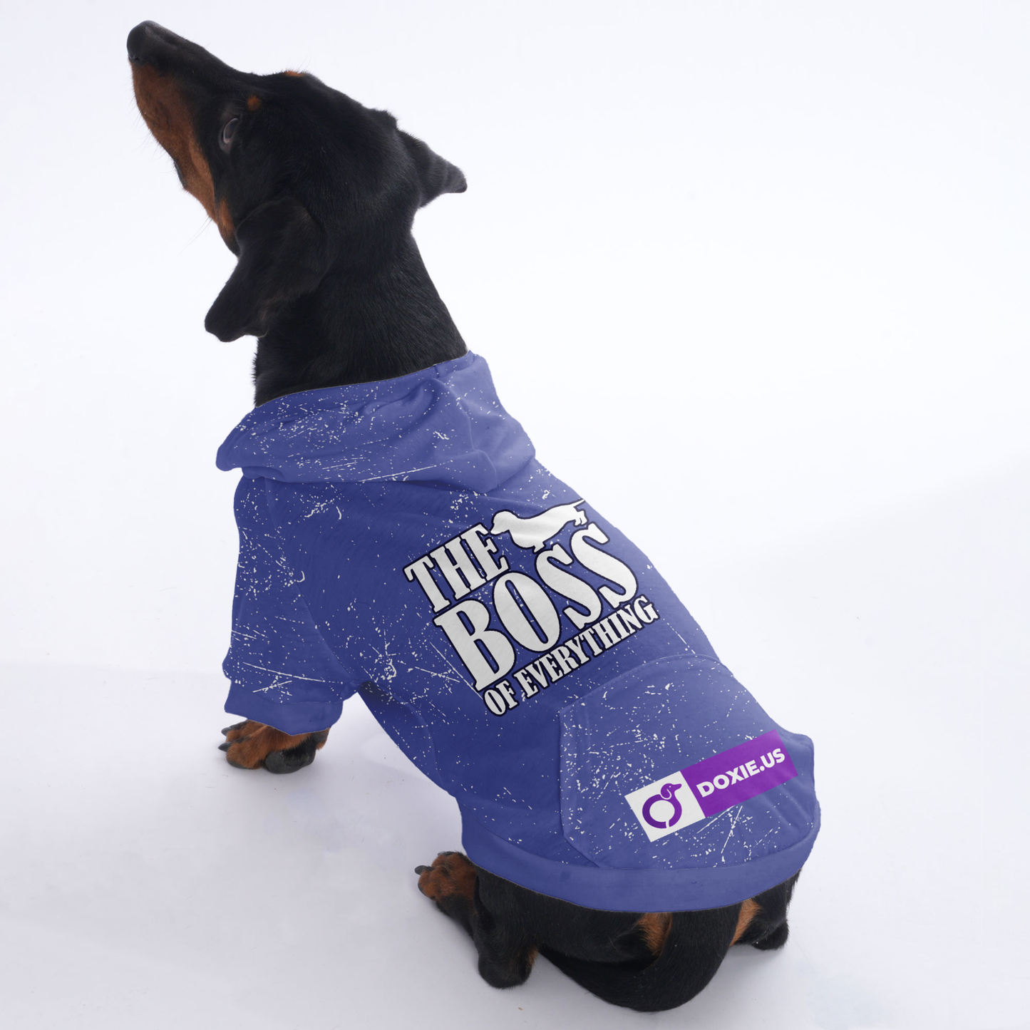 The boss of everything - Hoodies for Dachshunds