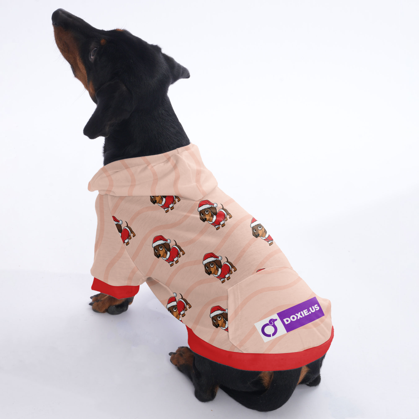 Oreo - Hoodies for Dachshunds