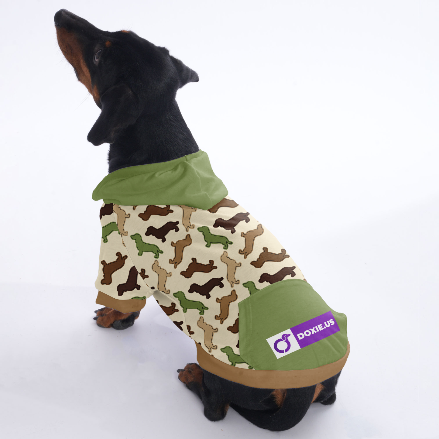 Ace - Hoodies for Dachshunds