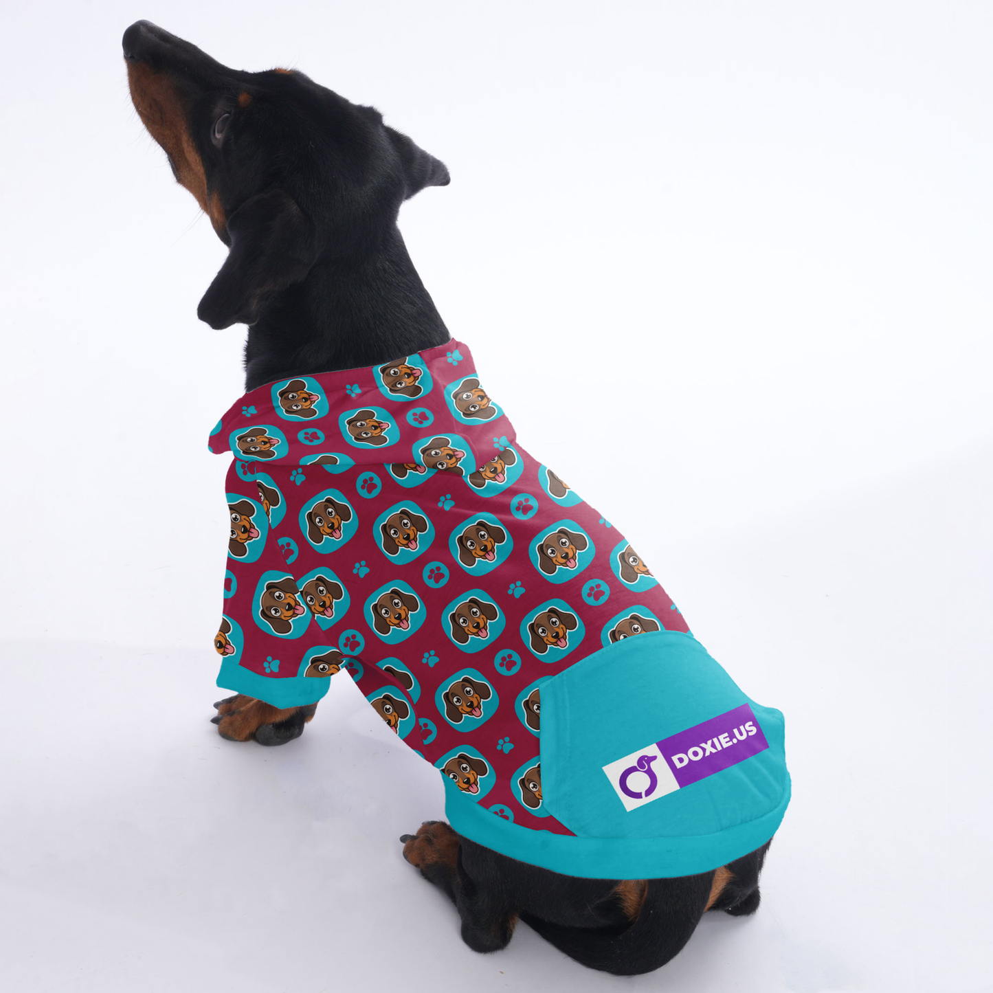 Riley - Hoodies for Dachshunds