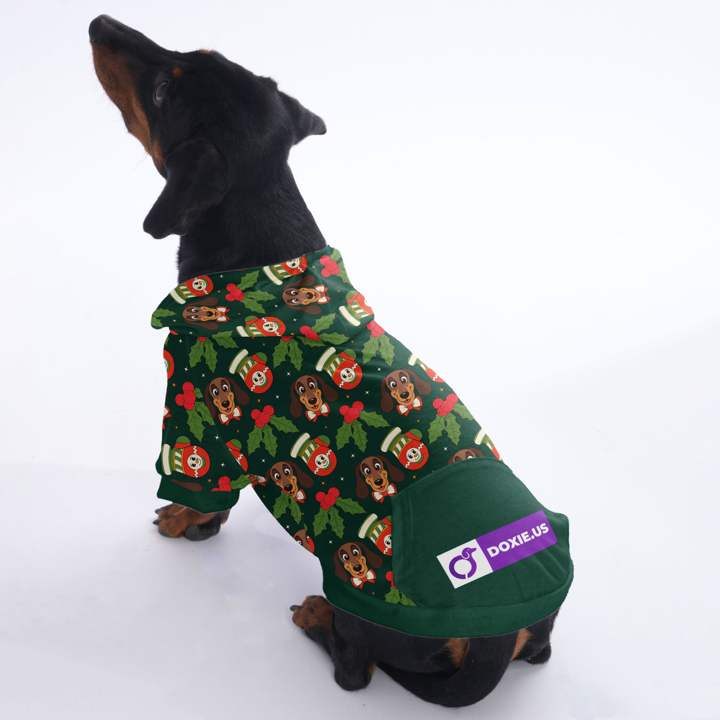 Ray - Hoodies for Dachshunds