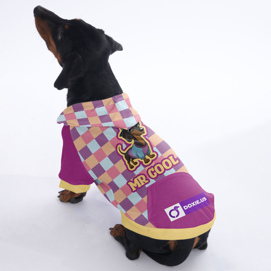 Mr cool - Hoodies for Dachshunds