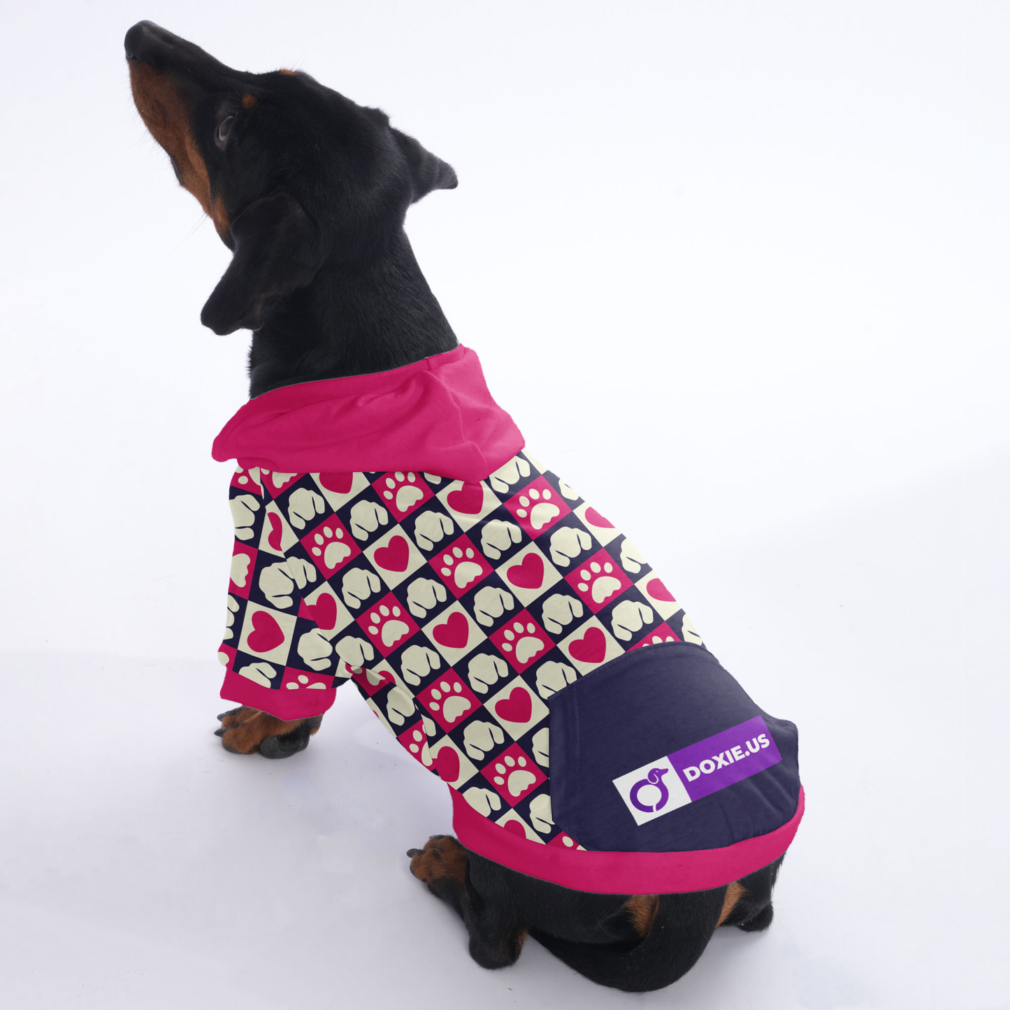 Hugo - Hoodies for Dachshunds