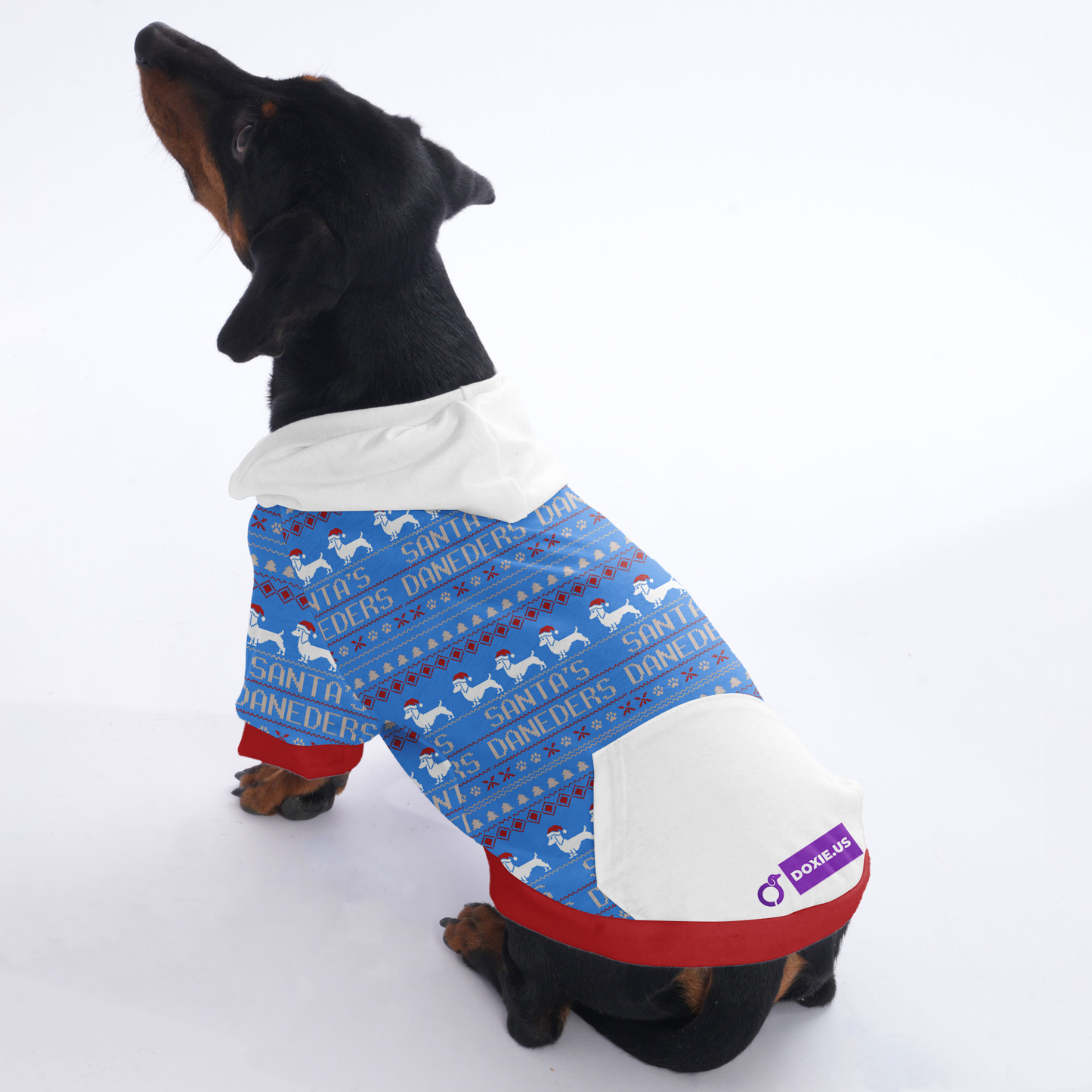 Molly - Hoodies for Dachshunds