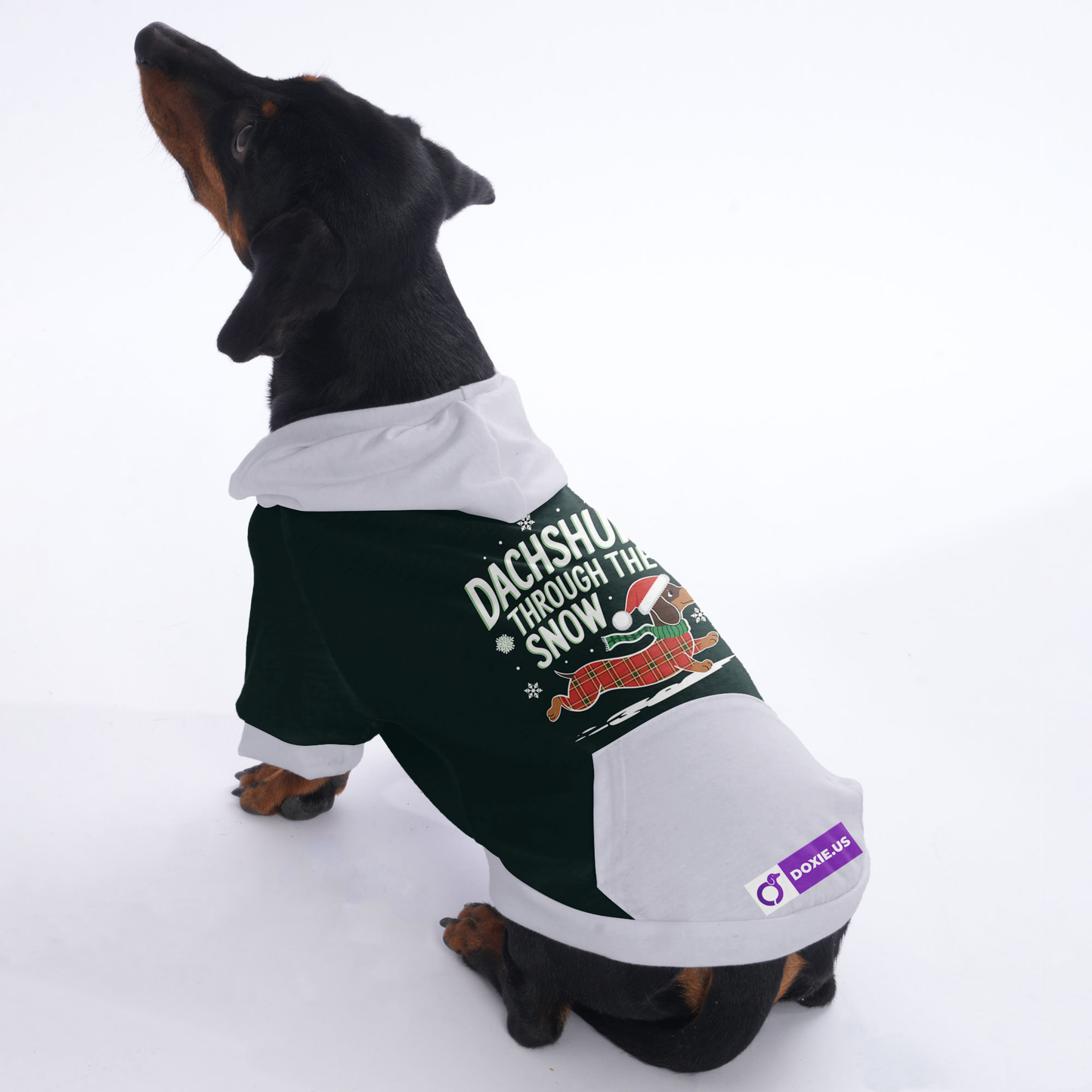 Coco - Hoodies for Dachshunds