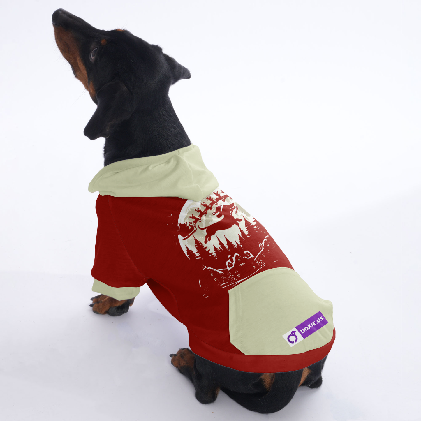 Abby - Hoodies for Dachshunds