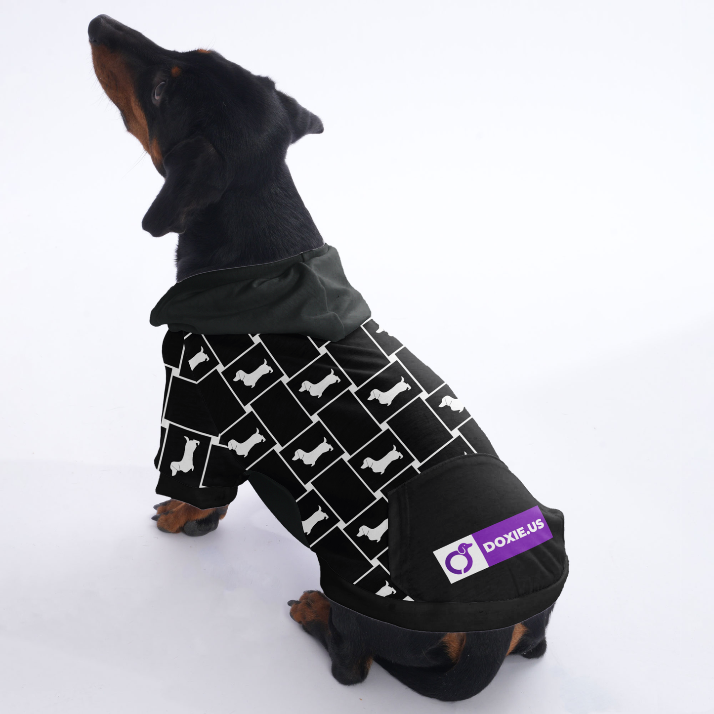 Lotte - Hoodies for Dachshunds