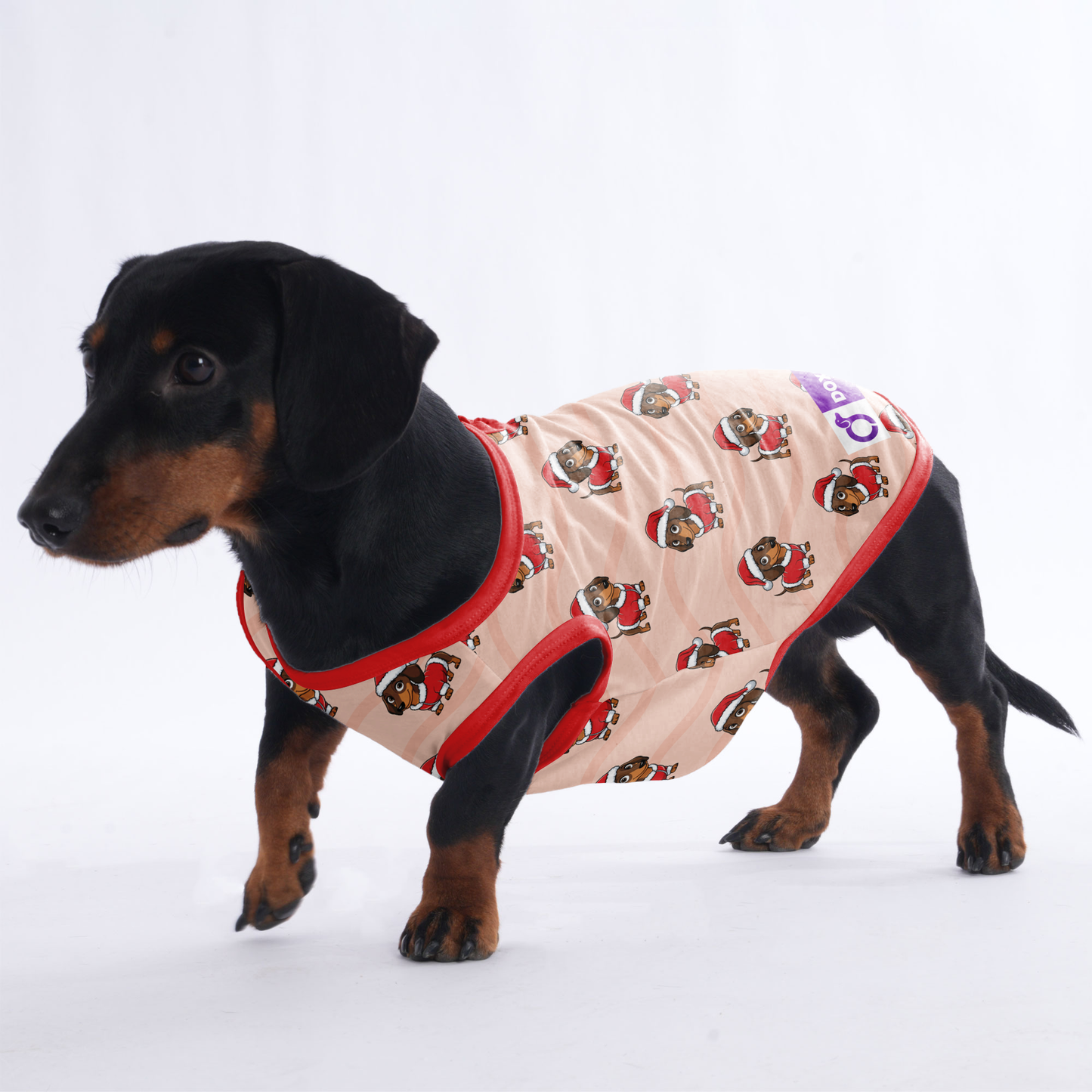 Mochi -  Shirt for Dachshunds