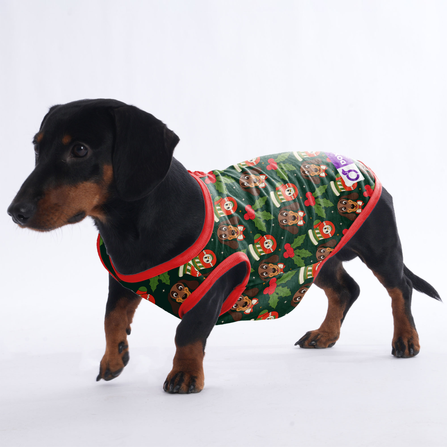 Dexter  -  Shirt for Dachshunds