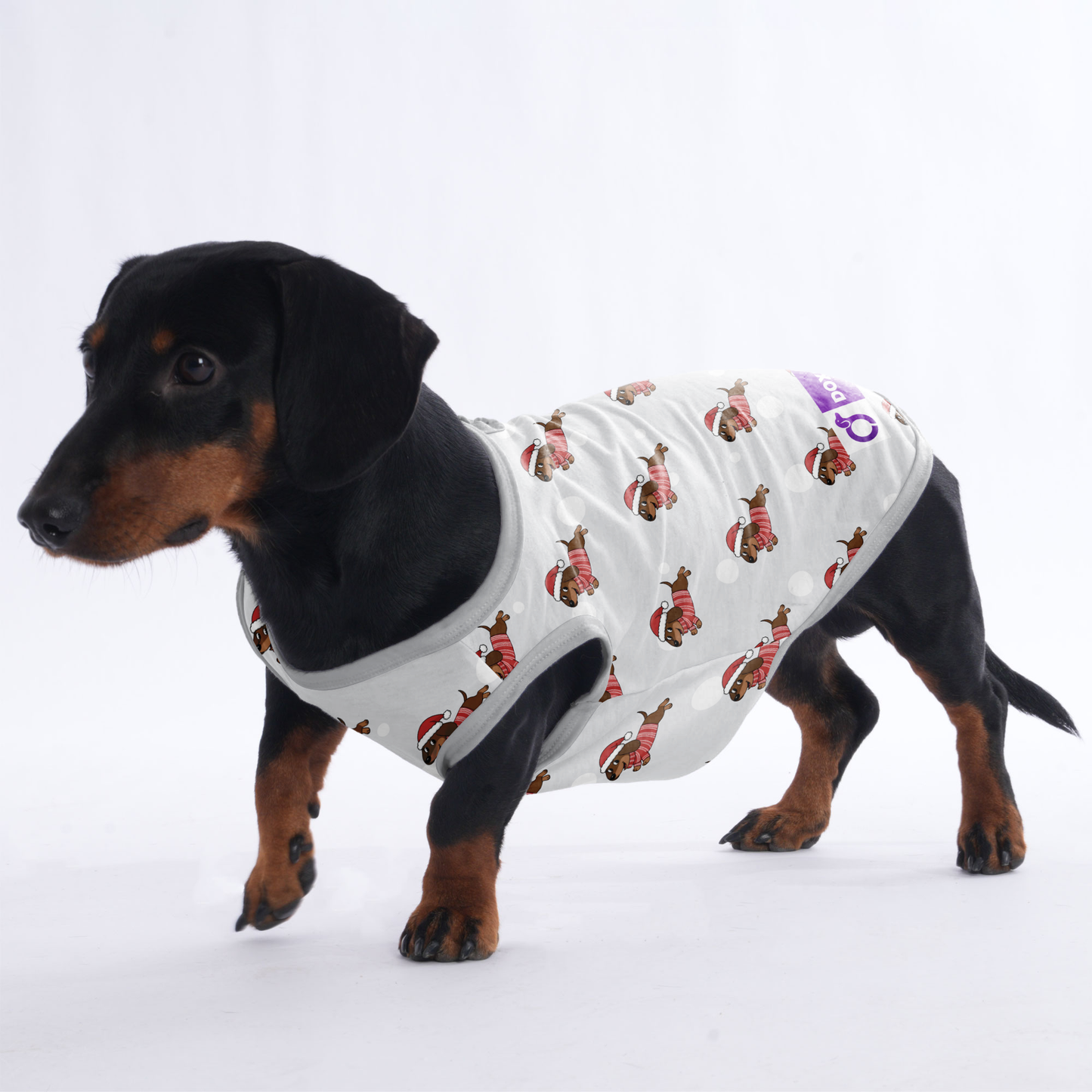 Mabel -  Shirt for Dachshunds