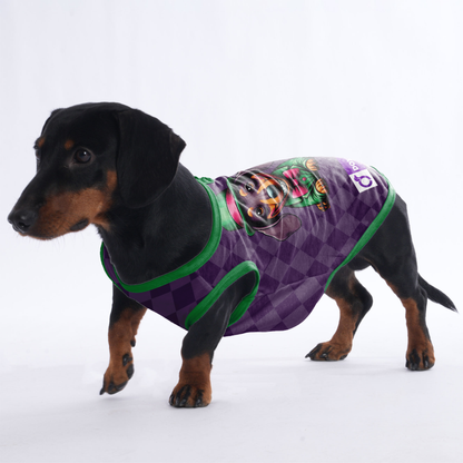 Pickle -  Shirt for Dachshunds
