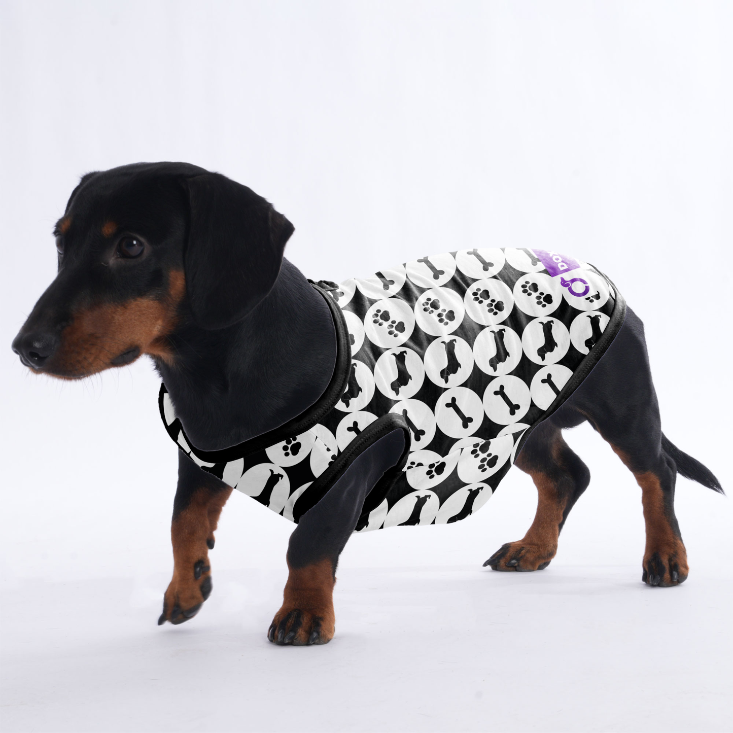 Jack -  Shirt for Dachshunds