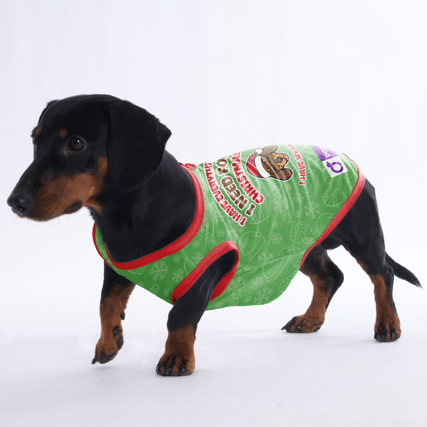 I HAVE EVERYTHING I NEED FOR CHRISTMAS, I HAVE MY HUMAN -  Shirt for Dachshunds