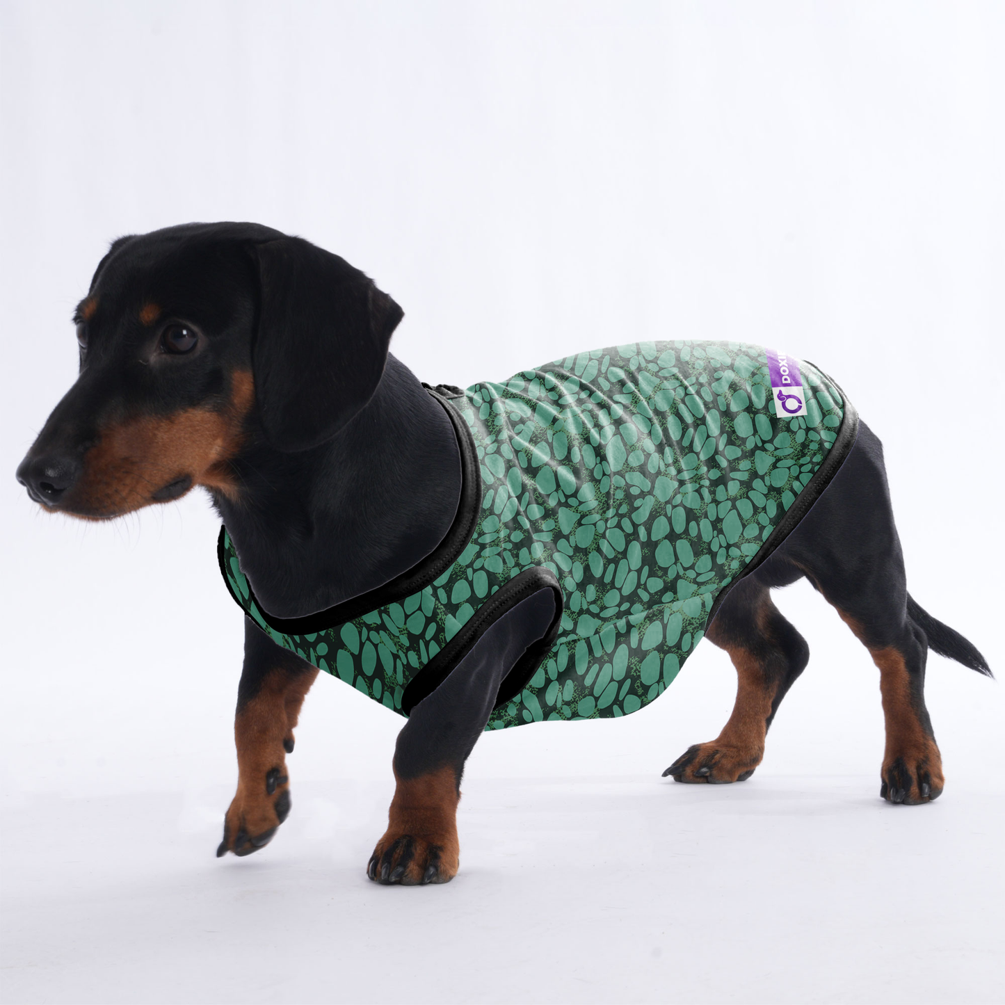 Nala -  Shirt for Dachshunds