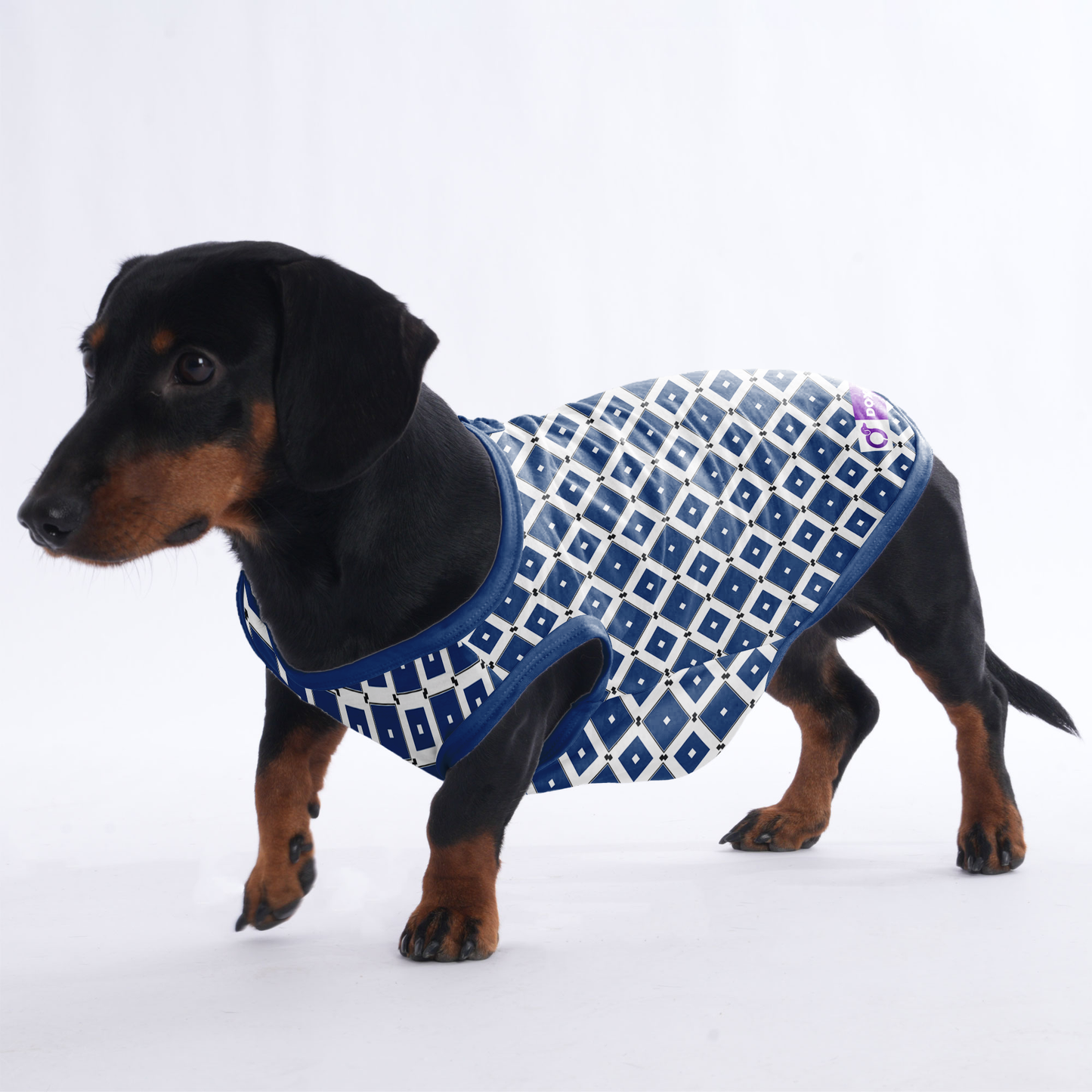 Willow -  Shirt for Dachshunds