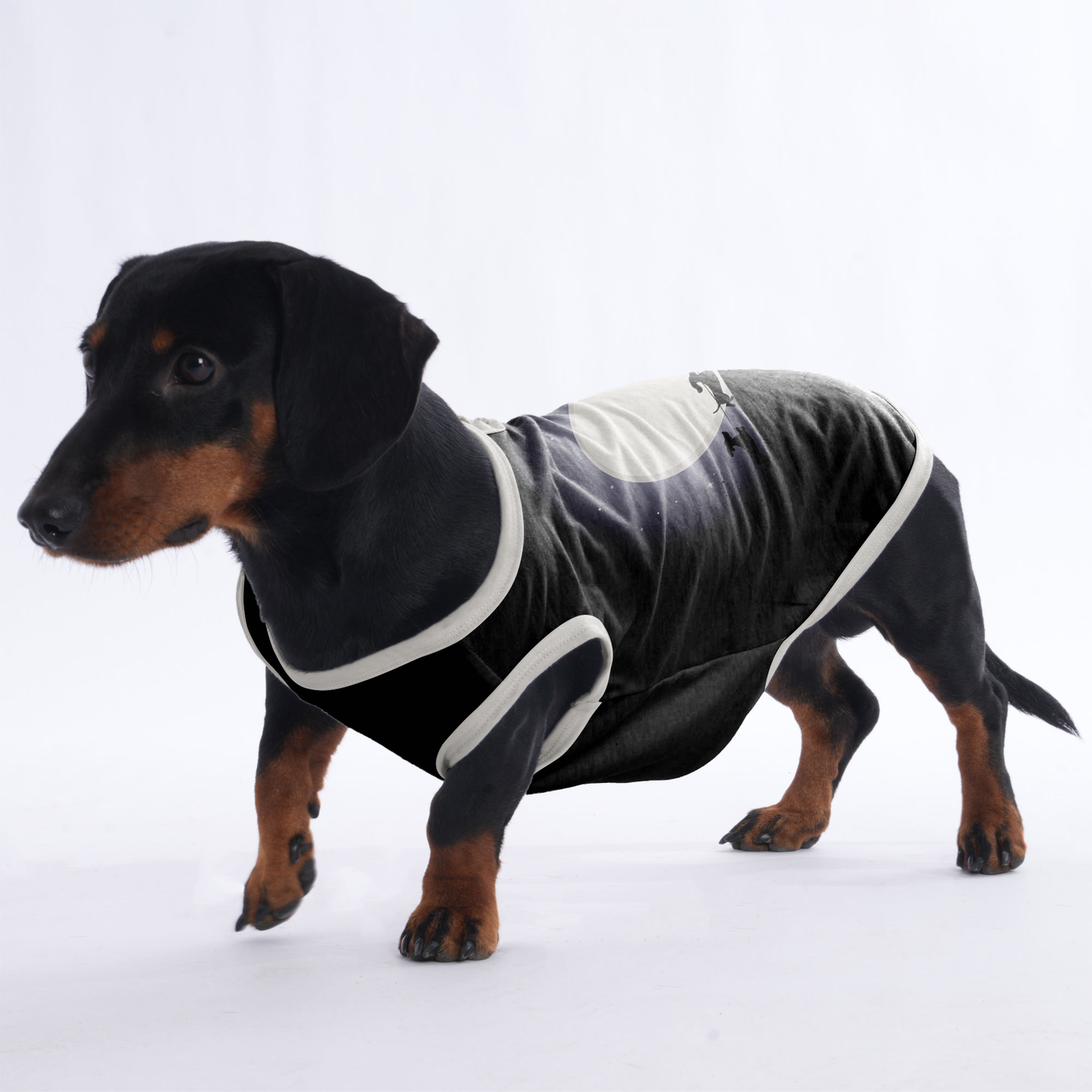 Abby -  Shirt for Dachshunds