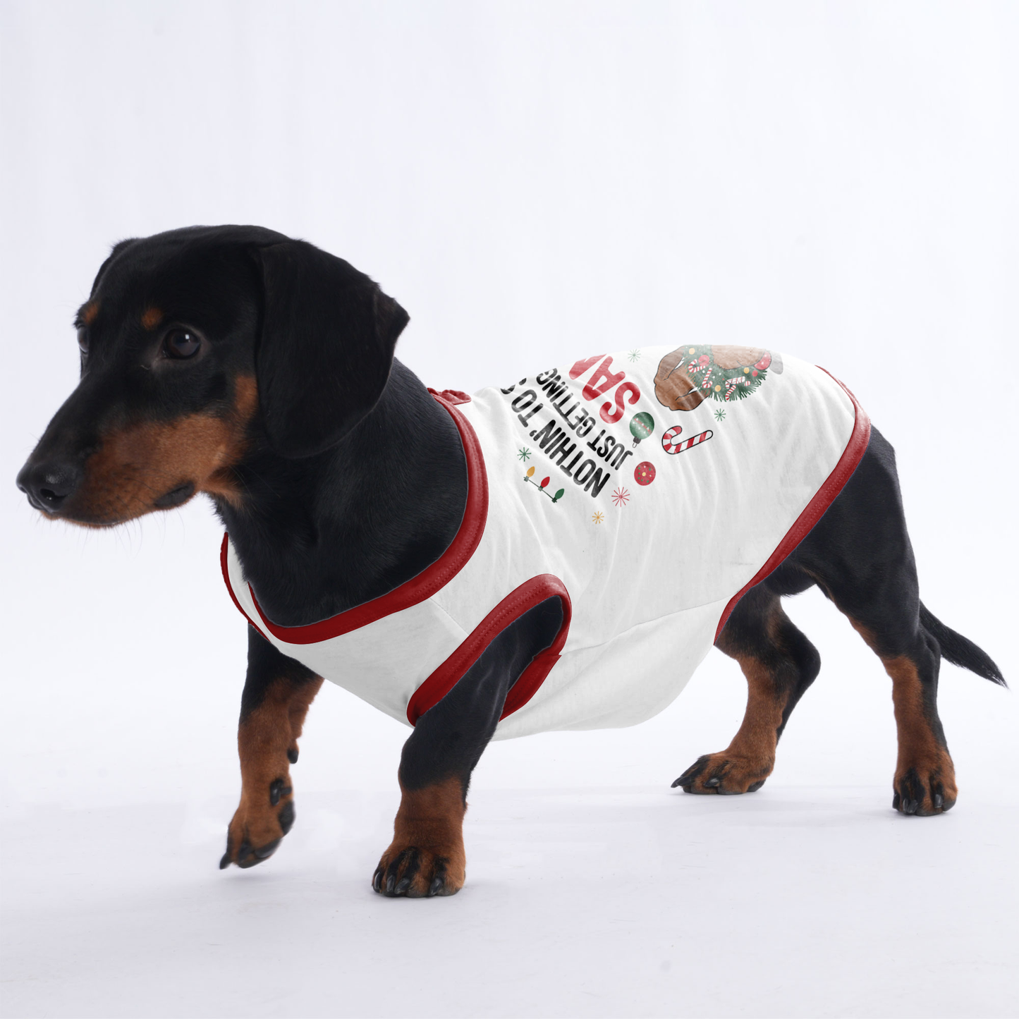 Buddy -  Shirt for Dachshunds