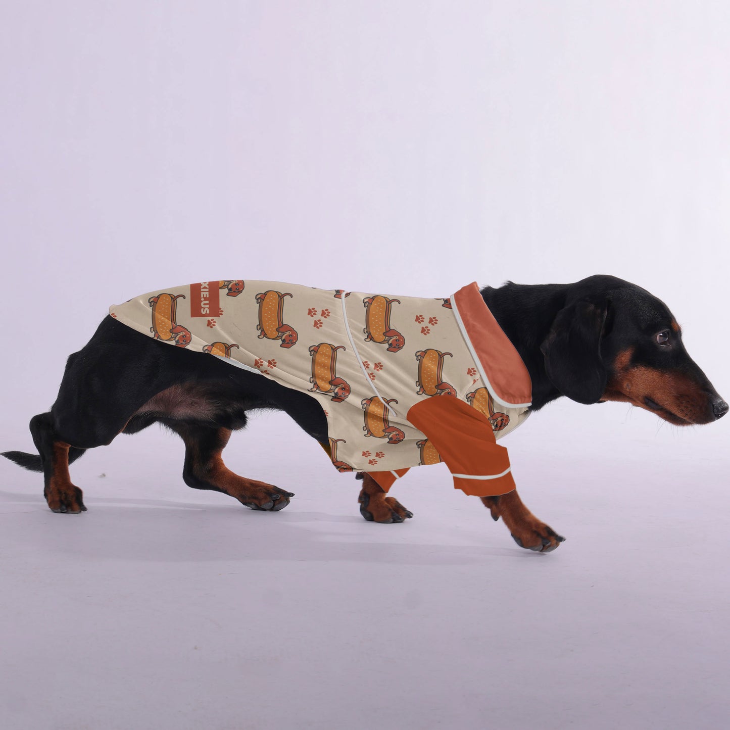 Pumpkin -  Pajamas for Dachshund