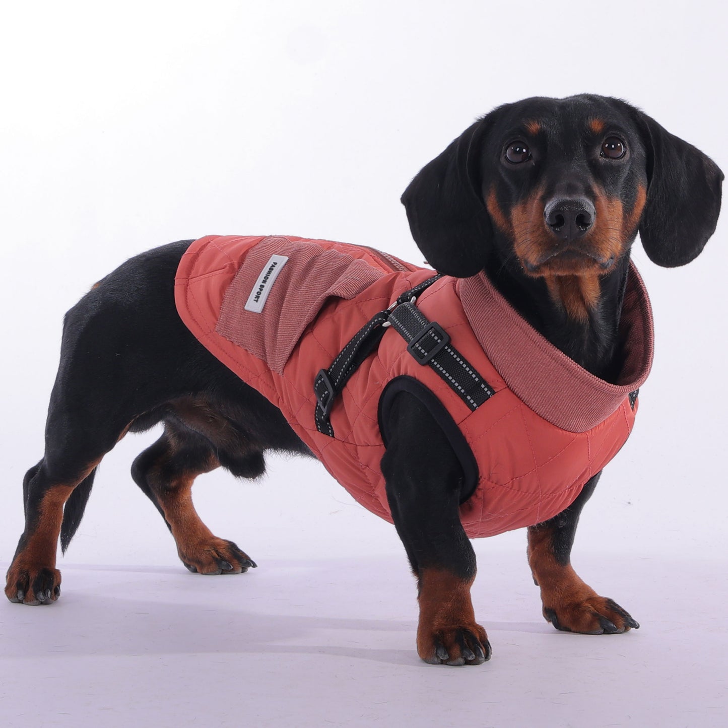 BarkBound Cozy Dachshund Jacket with Built-In Harness for Ultimate Comfort