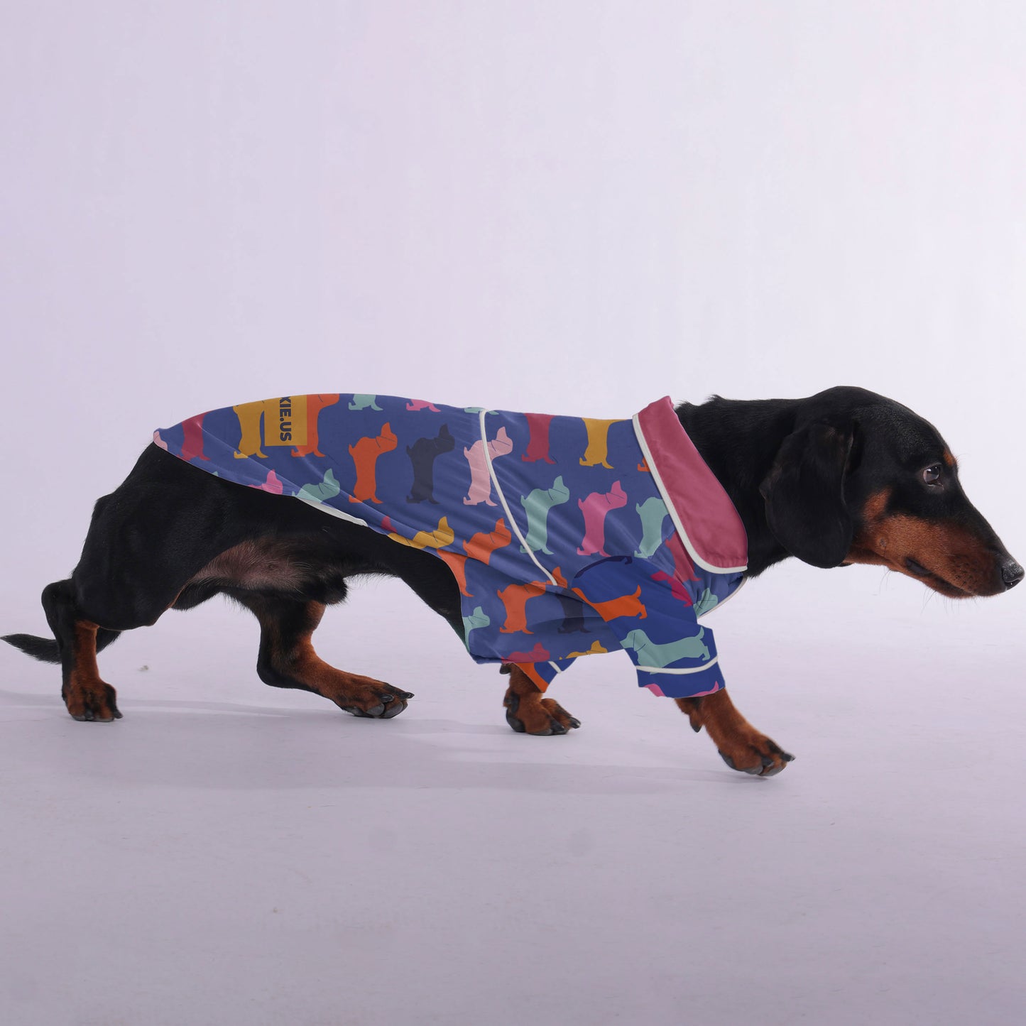 Pepper -  Pajamas for Dachshund