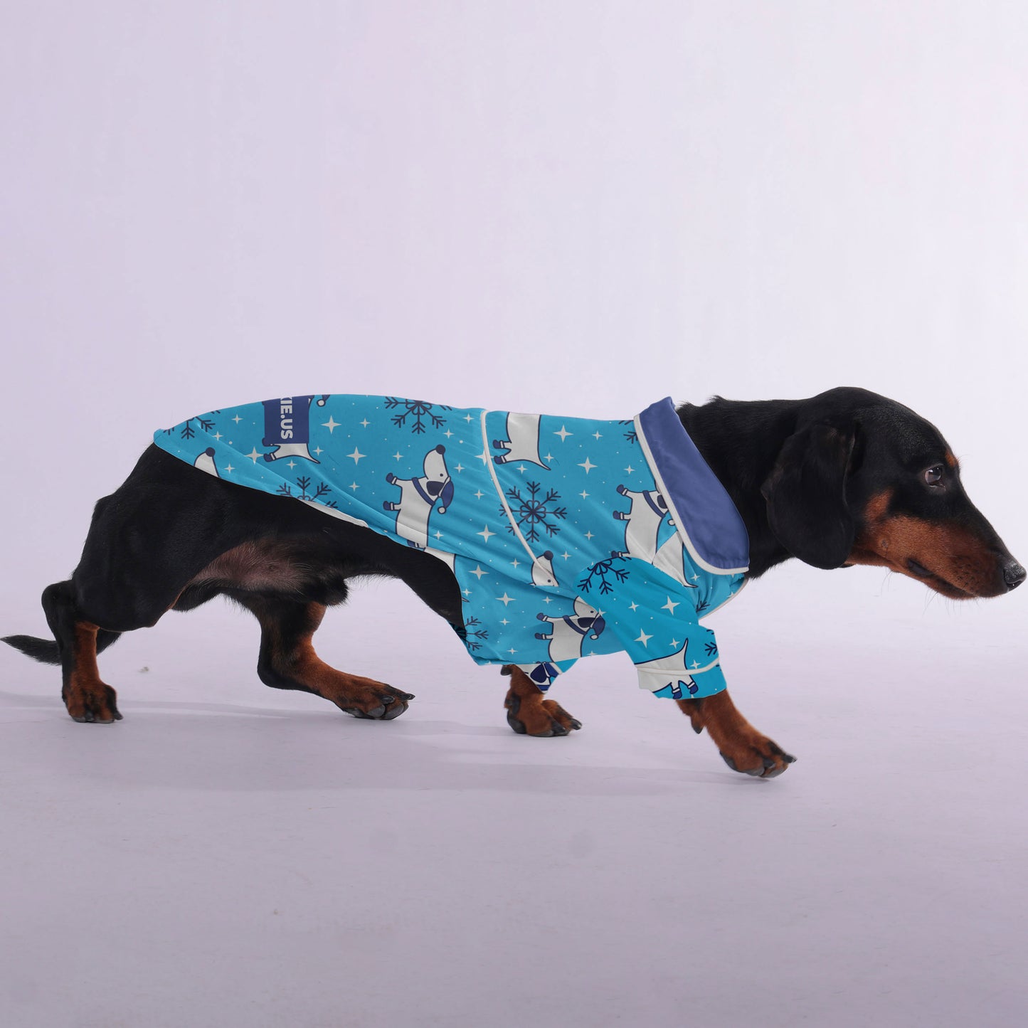 Rachel-  Pajamas for Dachshund