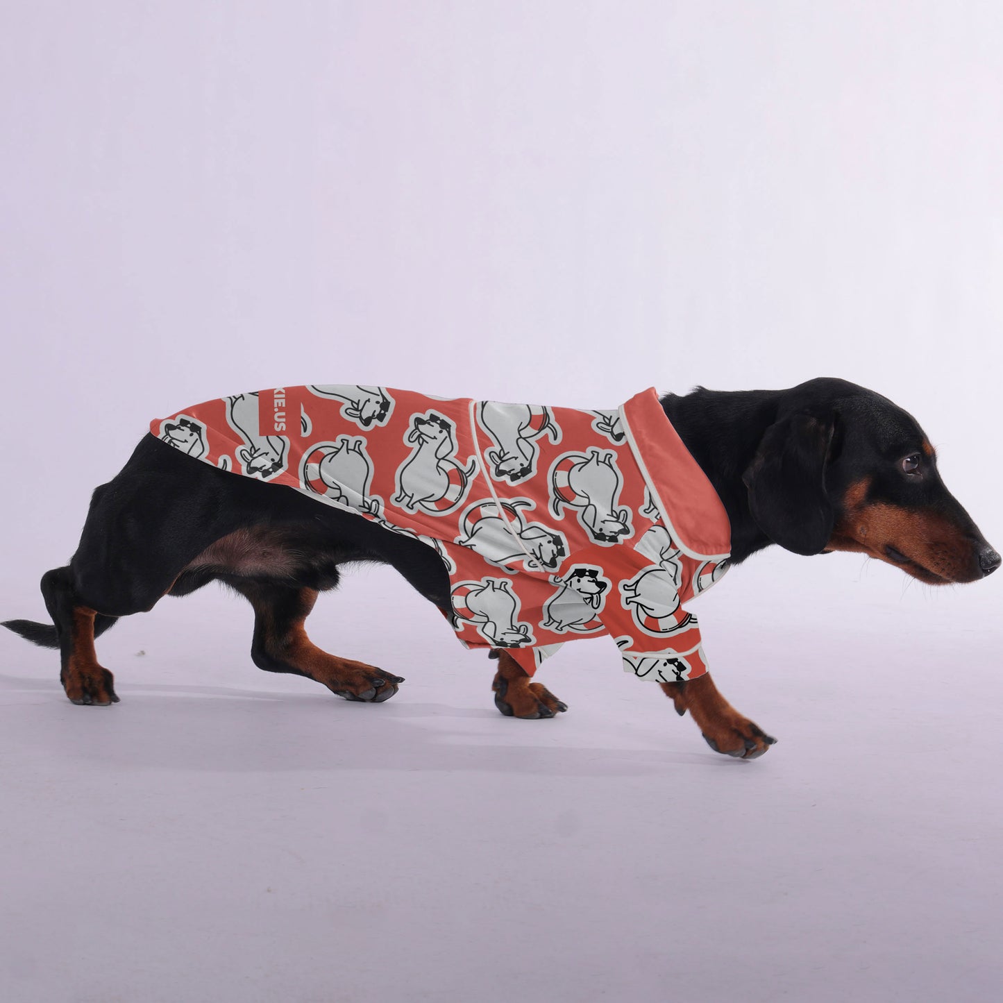 Gilbert-  Pajamas for Dachshund