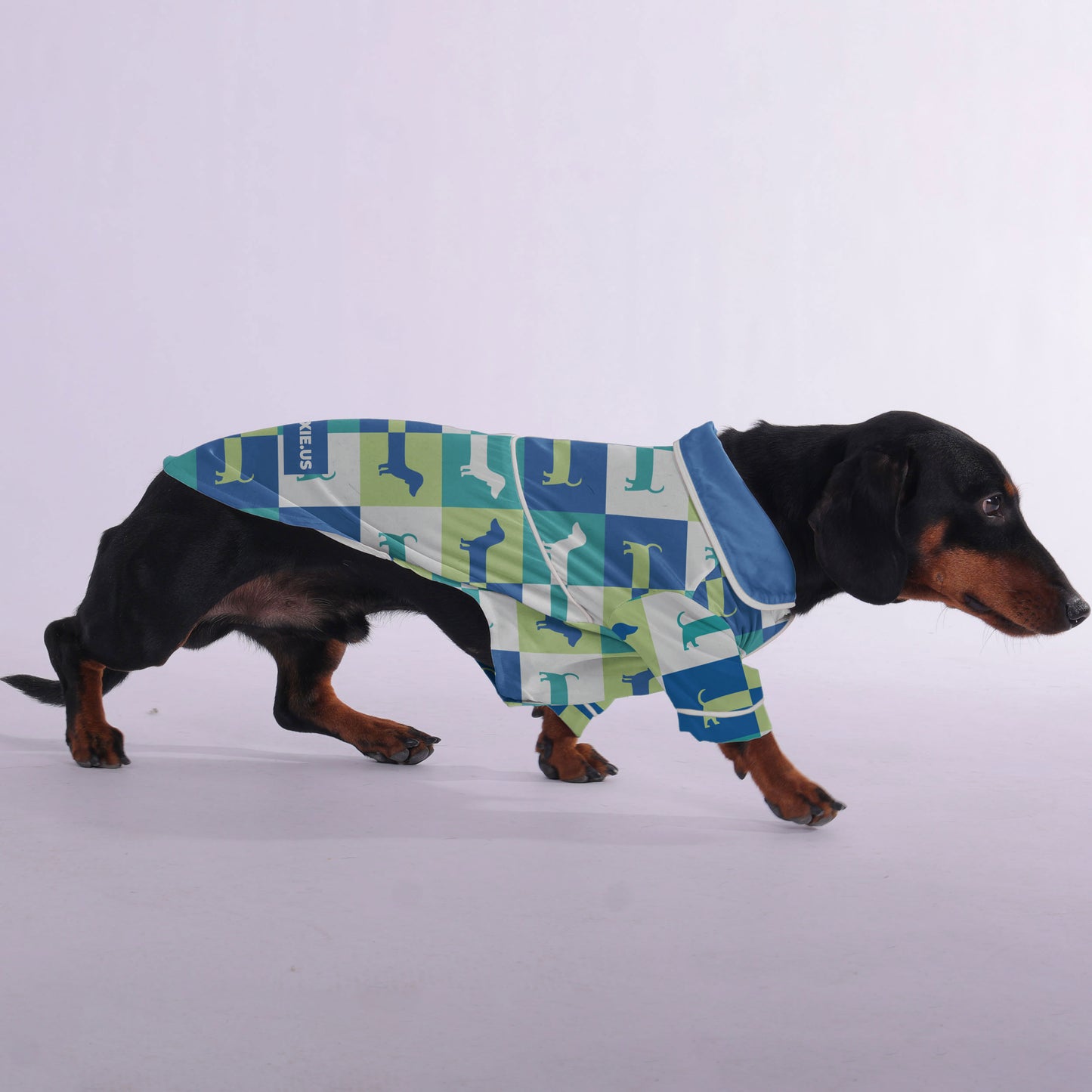 Emma -  Pajamas for Dachshund