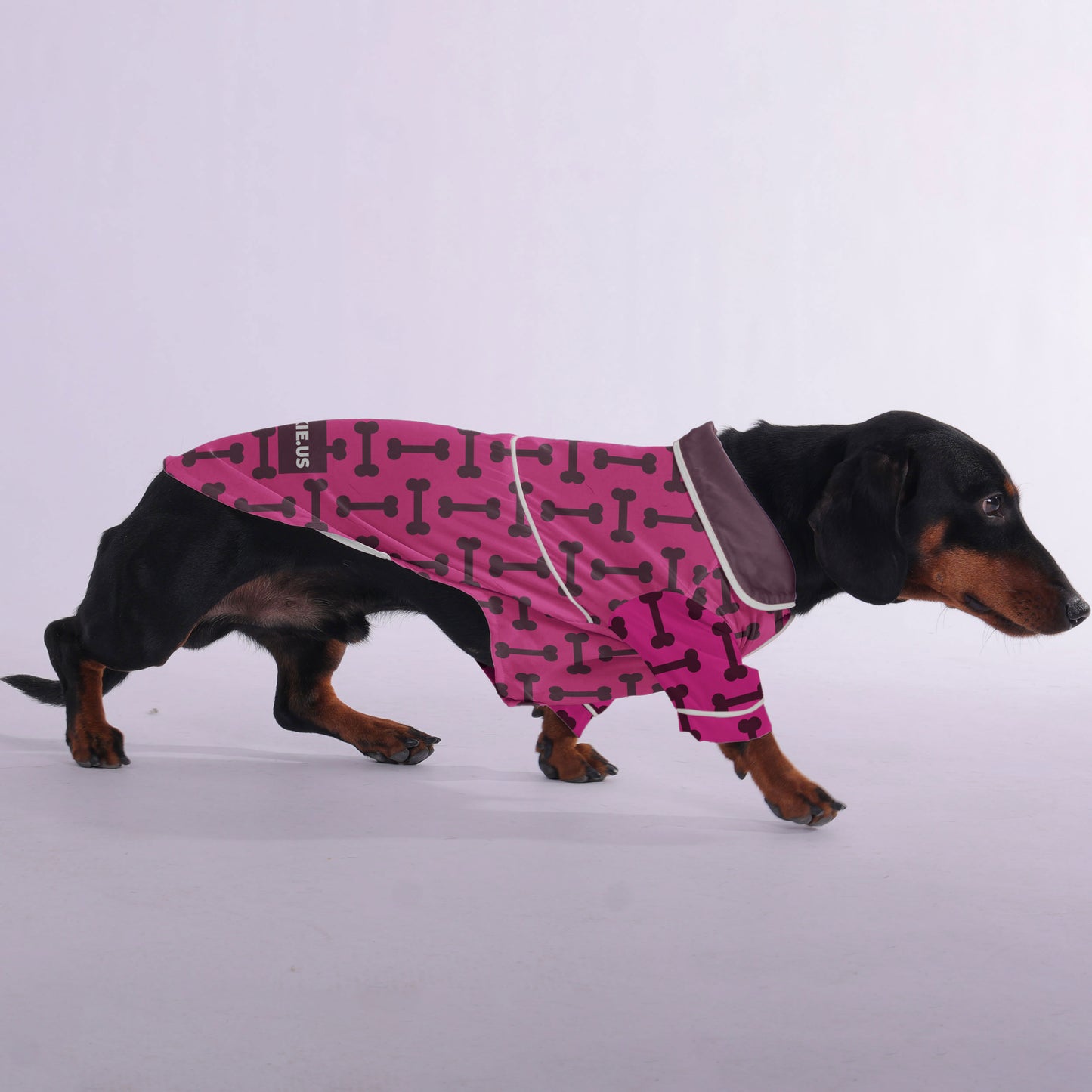 Gilbert -  Pajamas for Dachshund