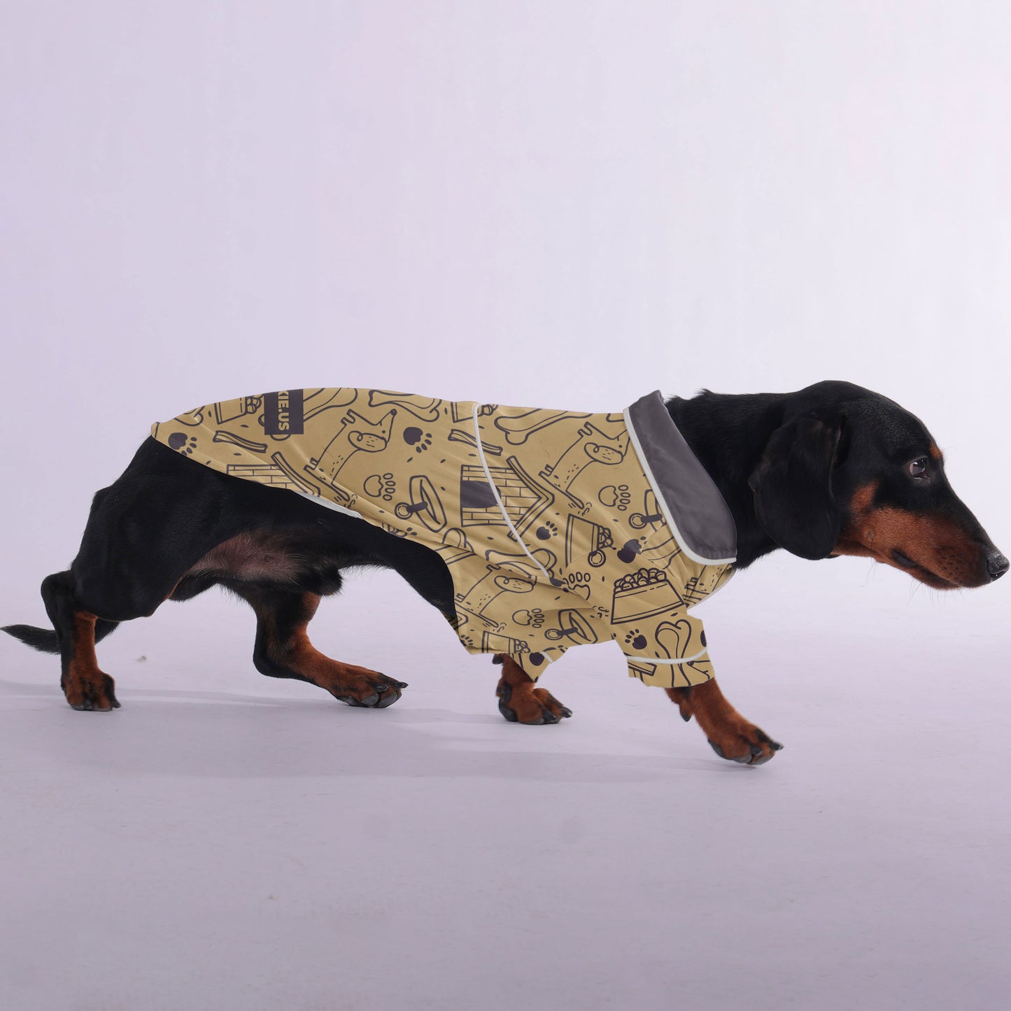 Indy -  Pajamas for Dachshund