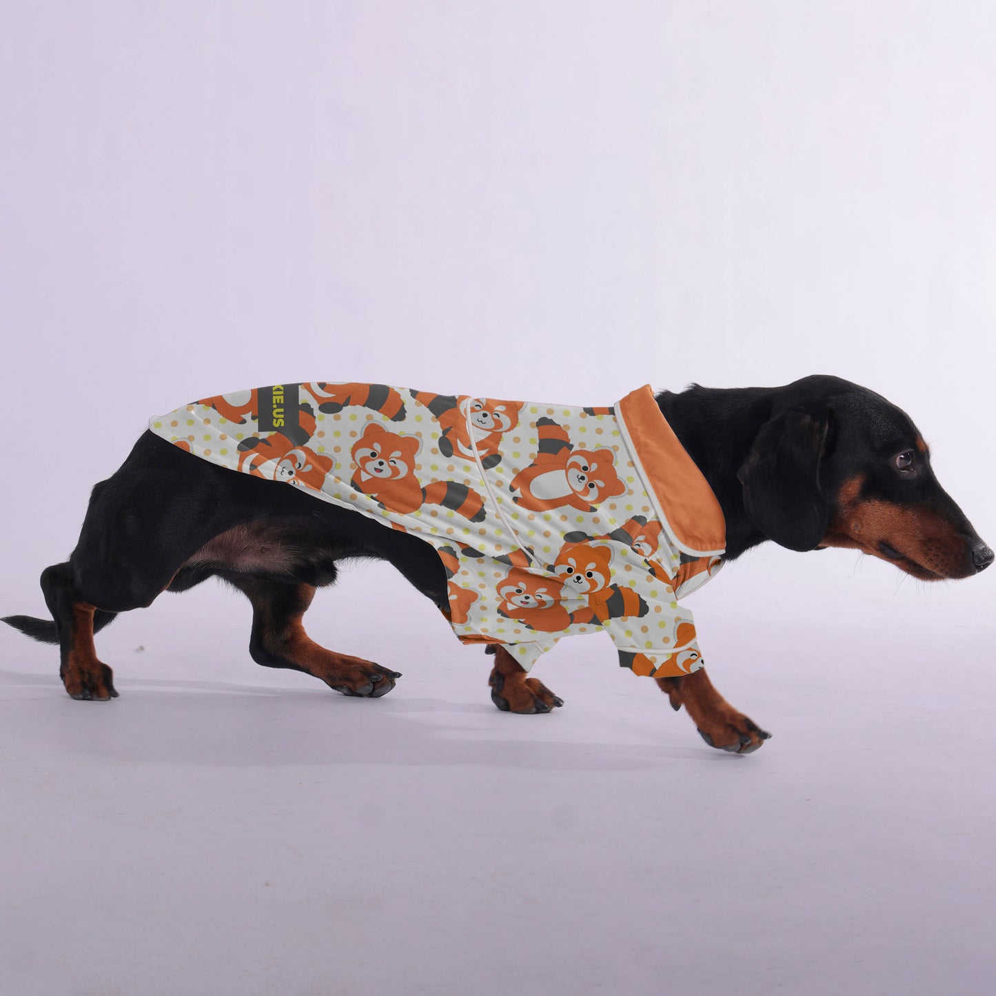 Kiki -  Pajamas for Dachshund