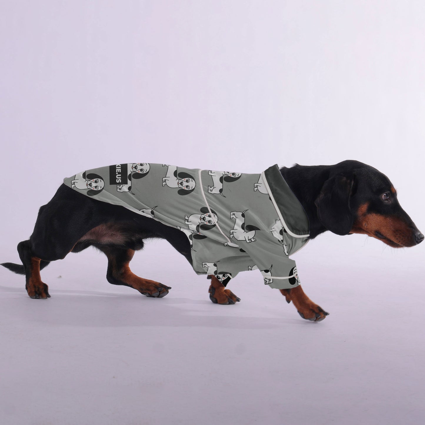 Sebastian -  Pajamas for Dachshund