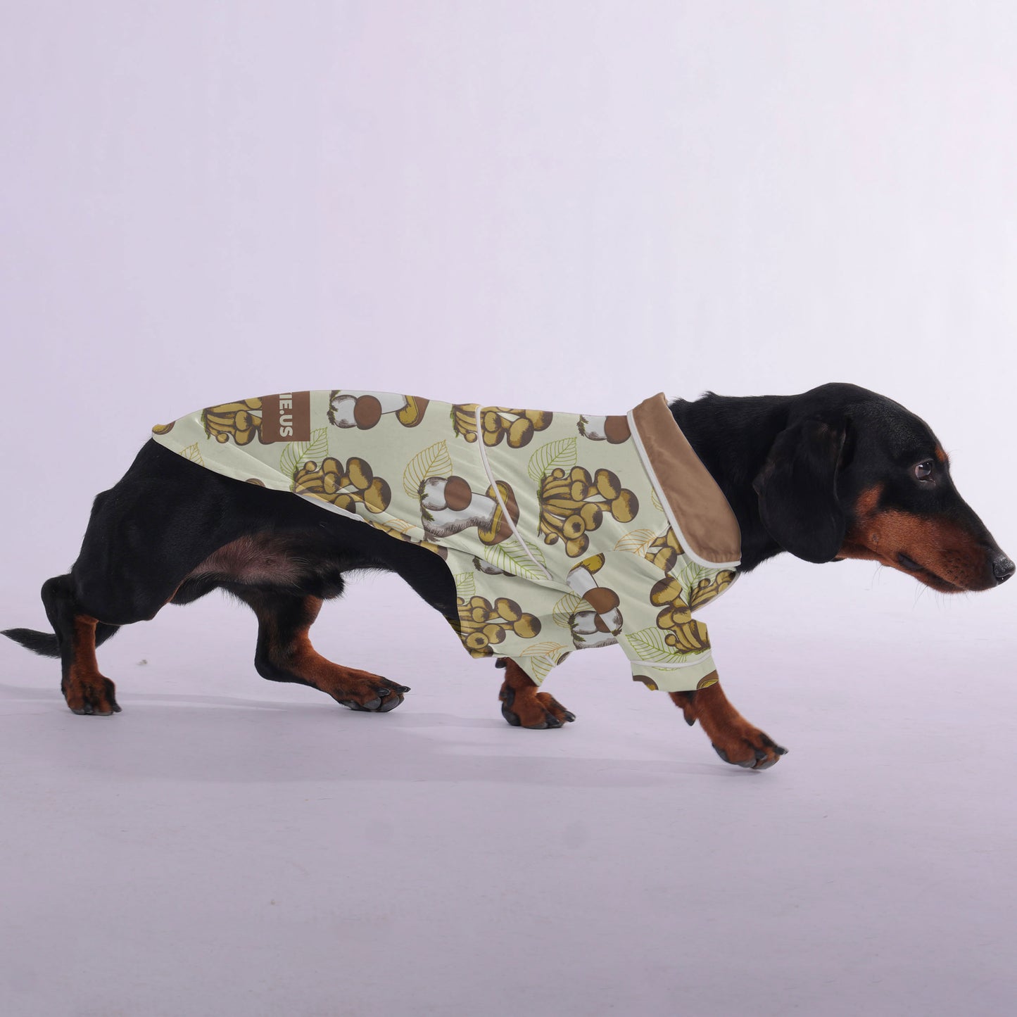 Dakota -  Pajamas for Dachshund