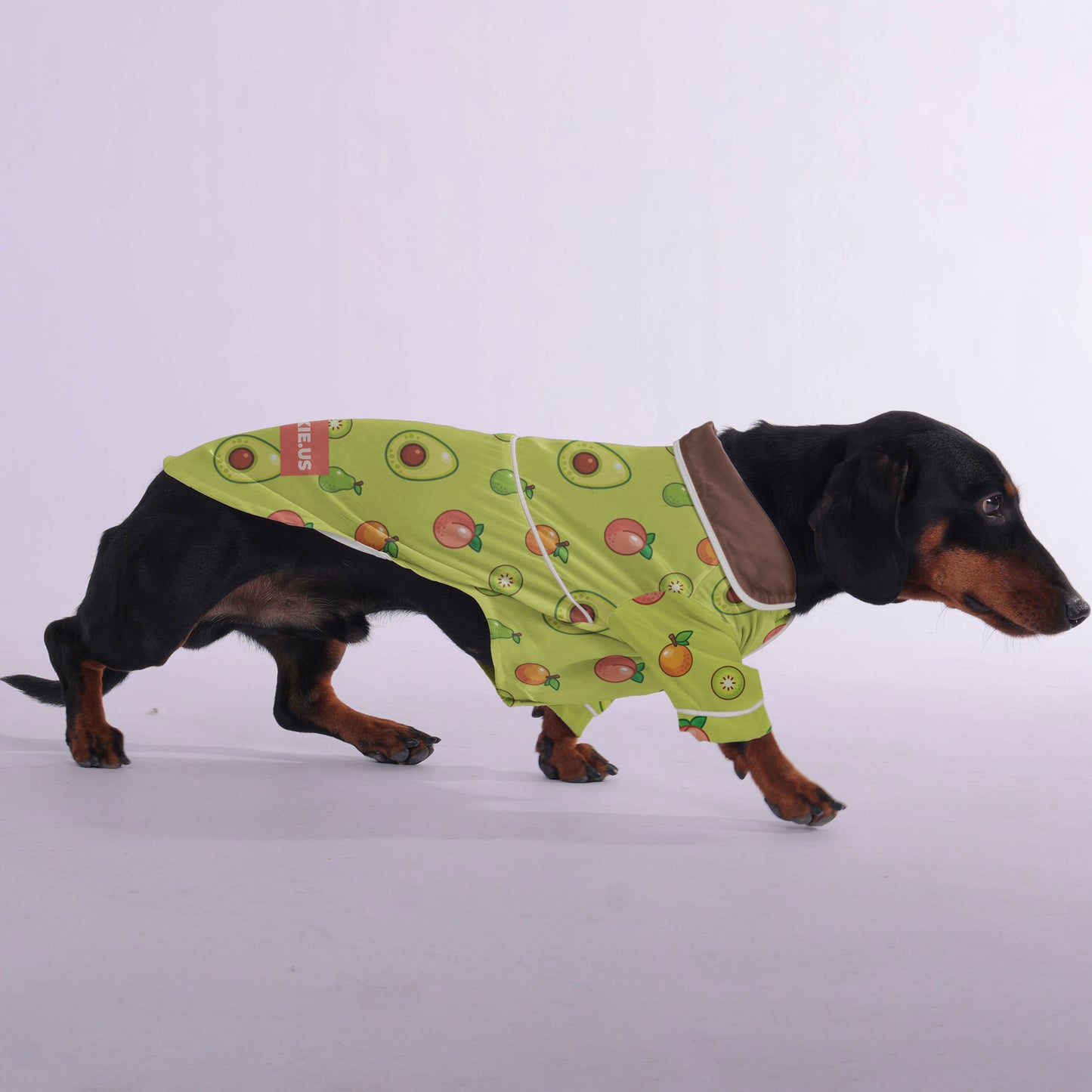 Paul -  Pajamas for Dachshund